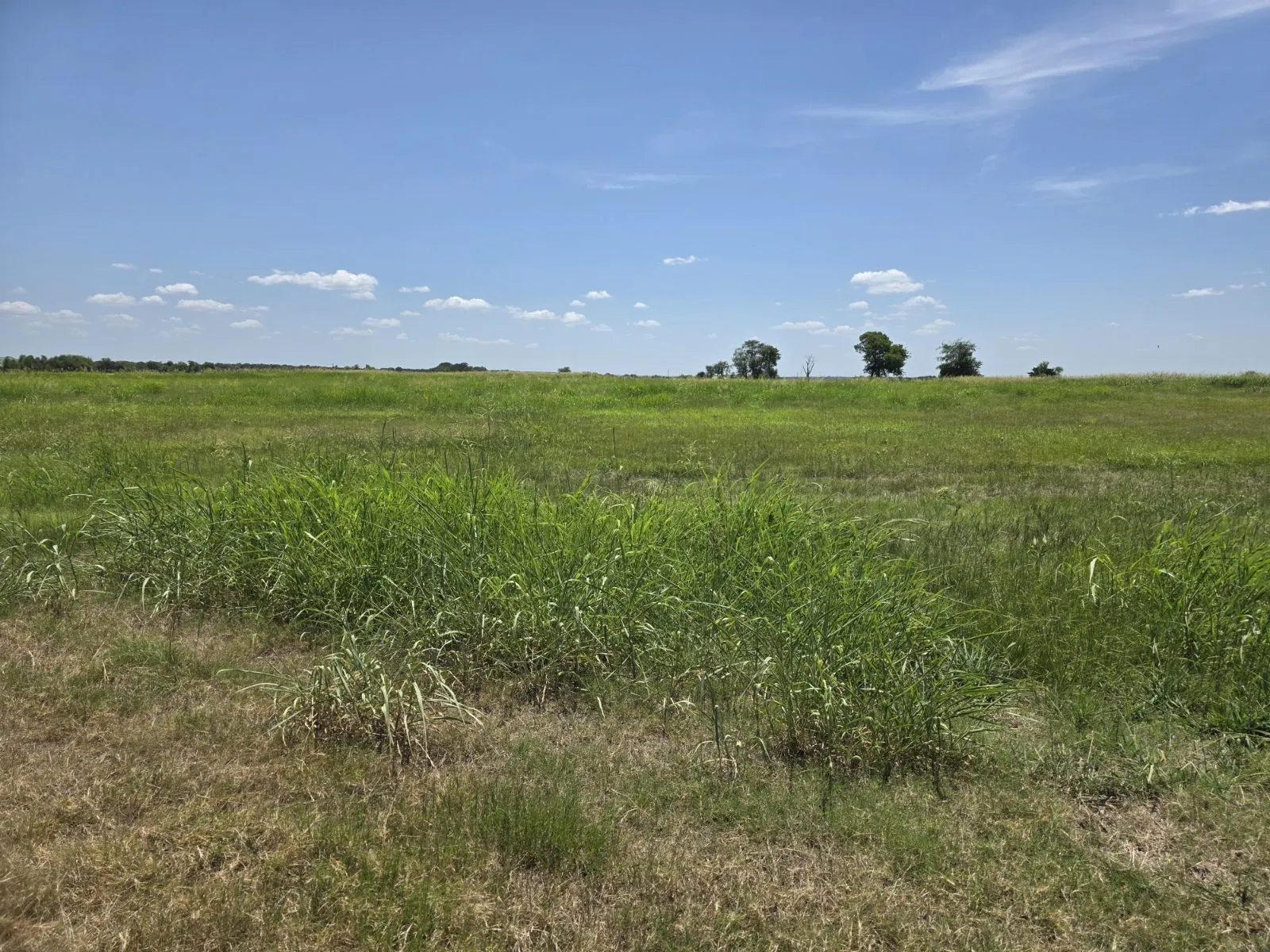 Unimproved Land For Sale in Hunt County , Lot 54 Meadow Circle, Lone Oak, Texas 75453, 0, 0, Garage spaces, 0 Sqft, built in 0, mls#21347107, Real Estate Agent in Lone Oak, Homes For Sale in Hunt county, Homes For Sale in Lone Oak, Realtor in Lone Oak Texas, Real Estate Brokerage Independent Realty Texas, Luminita Cordes Realtor