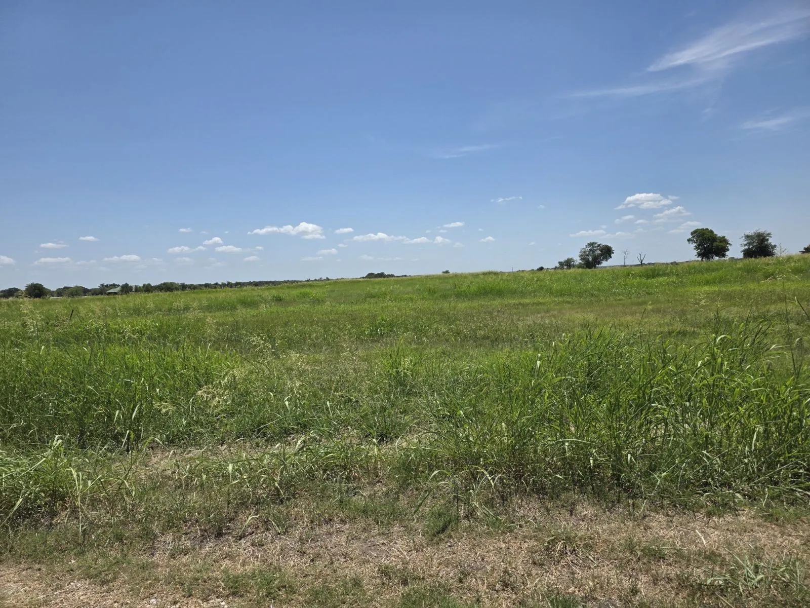 Unimproved Land For Sale in Hunt County , Lot 54 Meadow Circle, Lone Oak, Texas 75453, 0, 0, Garage spaces, 0 Sqft, built in 0, mls#21347107, Real Estate Agent in Lone Oak, Homes For Sale in Hunt county, Homes For Sale in Lone Oak, Realtor in Lone Oak Texas, Real Estate Brokerage Independent Realty Texas, Luminita Cordes Realtor