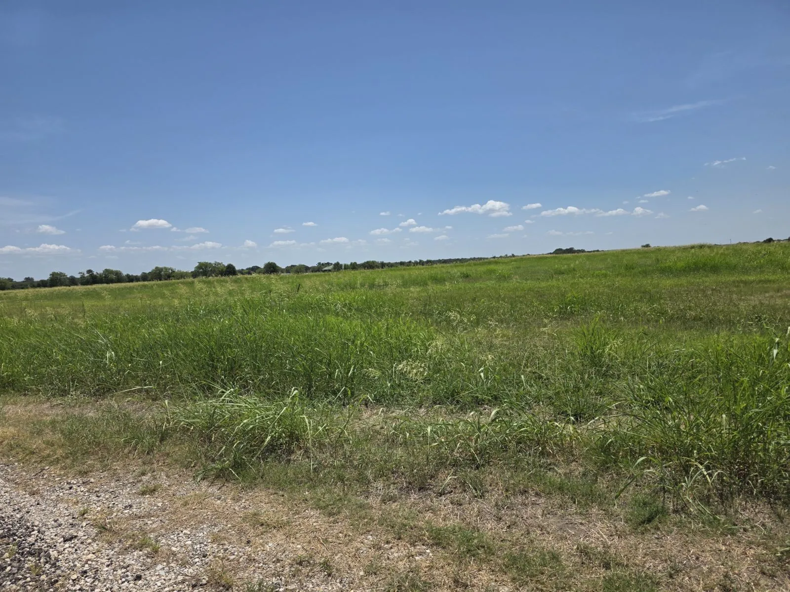 Unimproved Land For Sale in Hunt County , Lot 54 Meadow Circle, Lone Oak, Texas 75453, 0, 0, Garage spaces, 0 Sqft, built in 0, mls#21347107, Real Estate Agent in Lone Oak, Homes For Sale in Hunt county, Homes For Sale in Lone Oak, Realtor in Lone Oak Texas, Real Estate Brokerage Independent Realty Texas, Luminita Cordes Realtor