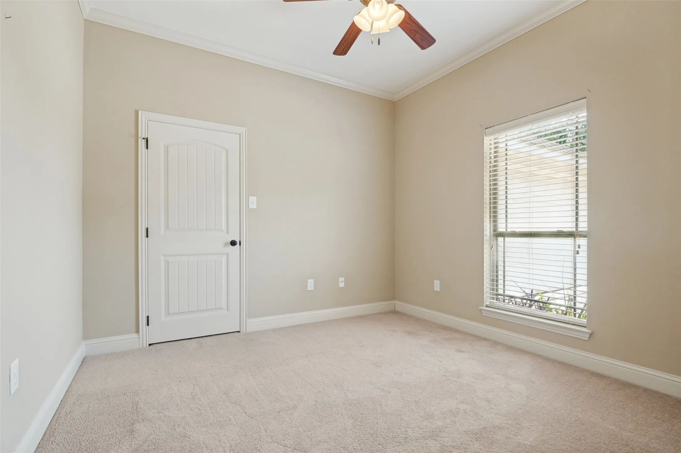 Carpeted interior space featuring a single window with blinds, a white paneled door, and a ceiling fan