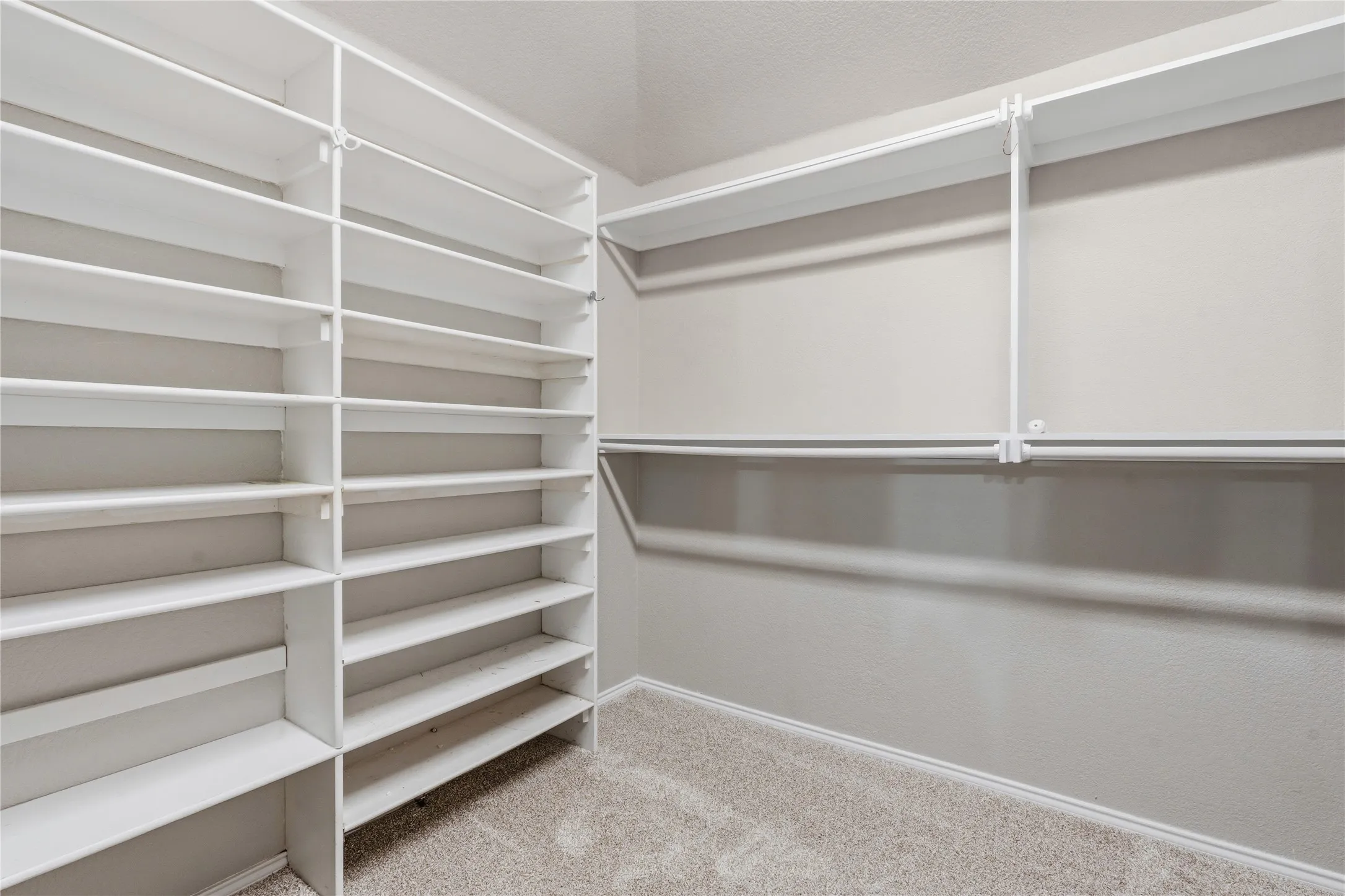Walk-in closet featuring extensive built-in white shelving, multiple hanging rods, and neutral-toned carpeting