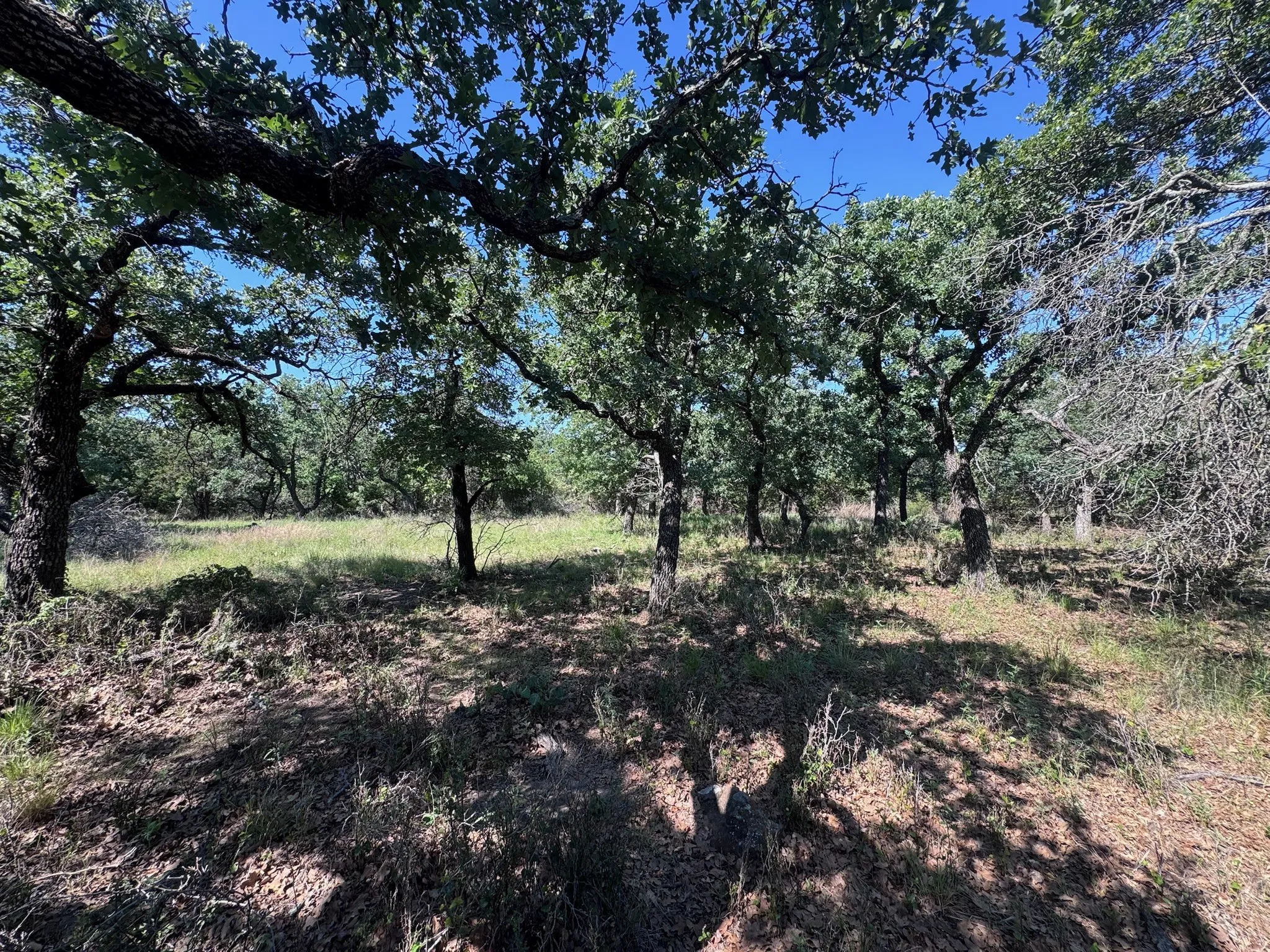 Unimproved Land For Sale in Palo Pinto County , A10 Glenhollow Drive, Gordon, Texas 76453, 0, 0, Garage spaces, 0 Sqft, built in 0, Price $14,500, mls#21346827, Real Estate Agent in Gordon, Homes For Sale in Palo Pinto county, Homes For Sale in Gordon, Realtor in Gordon Texas, Real Estate Brokerage Independent Realty Texas, Luminita Cordes Realtor