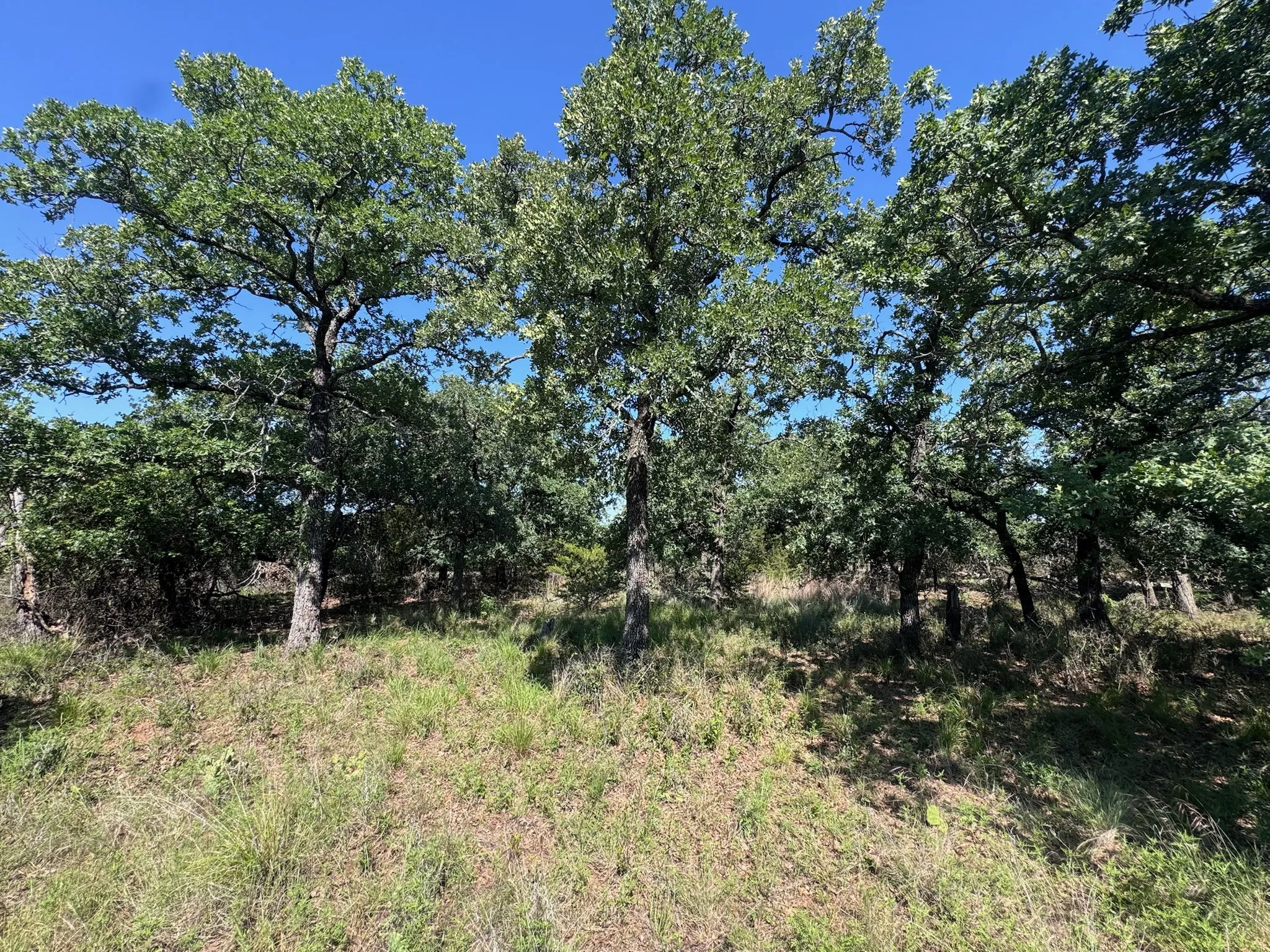 Unimproved Land For Sale in Palo Pinto County , A10 Glenhollow Drive, Gordon, Texas 76453, 0, 0, Garage spaces, 0 Sqft, built in 0, Price $14,500, mls#21346827, Real Estate Agent in Gordon, Homes For Sale in Palo Pinto county, Homes For Sale in Gordon, Realtor in Gordon Texas, Real Estate Brokerage Independent Realty Texas, Luminita Cordes Realtor