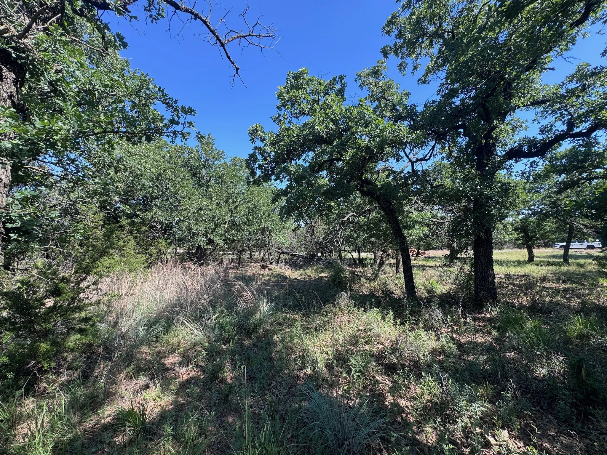 Unimproved Land For Sale in Palo Pinto County , A10 Glenhollow Drive, Gordon, Texas 76453, 0, 0, Garage spaces, 0 Sqft, built in 0, Price $14,500, mls#21346827, Real Estate Agent in Gordon, Homes For Sale in Palo Pinto county, Homes For Sale in Gordon, Realtor in Gordon Texas, Real Estate Brokerage Independent Realty Texas, Luminita Cordes Realtor