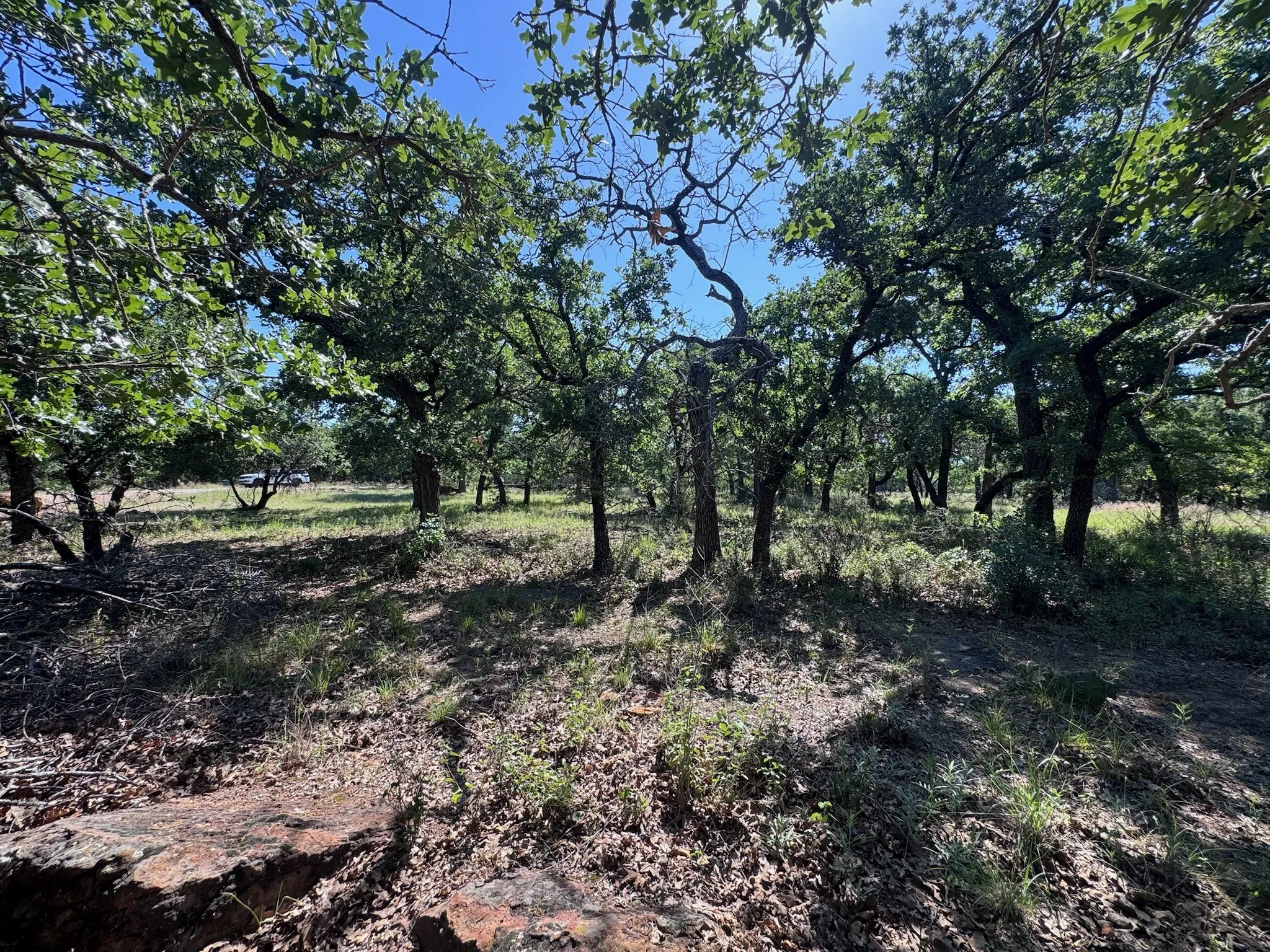 Unimproved Land For Sale in Palo Pinto County , A10 Glenhollow Drive, Gordon, Texas 76453, 0, 0, Garage spaces, 0 Sqft, built in 0, Price $14,500, mls#21346827, Real Estate Agent in Gordon, Homes For Sale in Palo Pinto county, Homes For Sale in Gordon, Realtor in Gordon Texas, Real Estate Brokerage Independent Realty Texas, Luminita Cordes Realtor