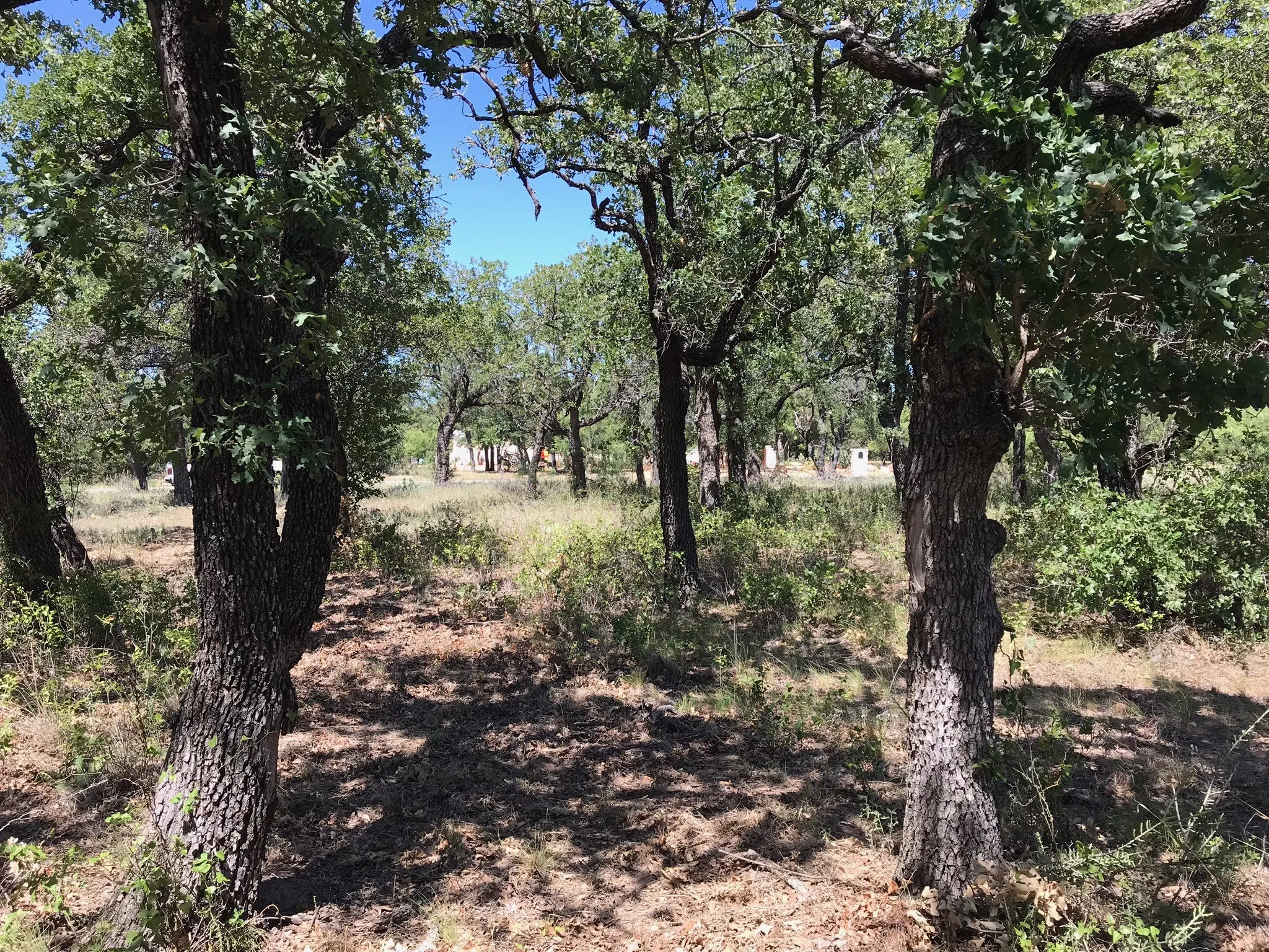 Unimproved Land For Sale in Palo Pinto County , A10 Glenhollow Drive, Gordon, Texas 76453, 0, 0, Garage spaces, 0 Sqft, built in 0, Price $14,500, mls#21346827, Real Estate Agent in Gordon, Homes For Sale in Palo Pinto county, Homes For Sale in Gordon, Realtor in Gordon Texas, Real Estate Brokerage Independent Realty Texas, Luminita Cordes Realtor