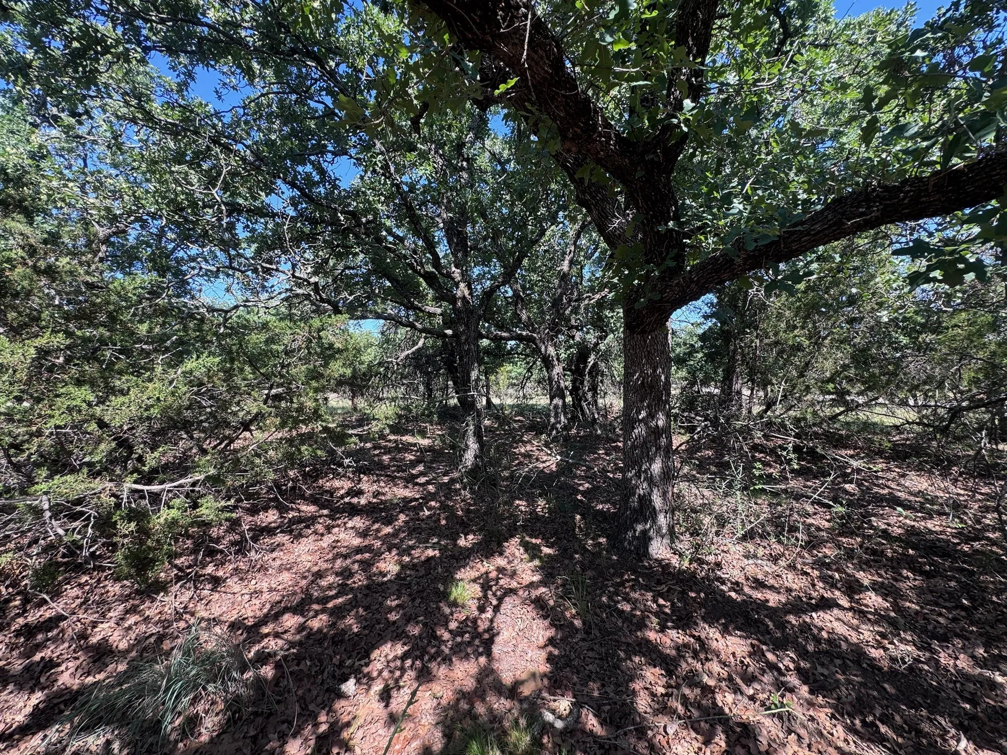 Unimproved Land For Sale in Palo Pinto County , A10 Glenhollow Drive, Gordon, Texas 76453, 0, 0, Garage spaces, 0 Sqft, built in 0, Price $14,500, mls#21346827, Real Estate Agent in Gordon, Homes For Sale in Palo Pinto county, Homes For Sale in Gordon, Realtor in Gordon Texas, Real Estate Brokerage Independent Realty Texas, Luminita Cordes Realtor