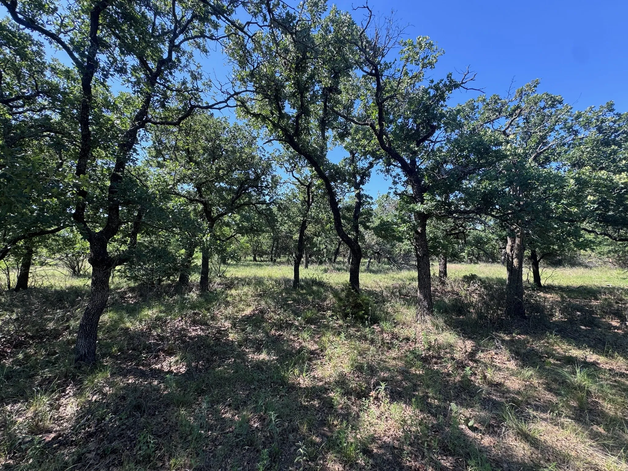 Unimproved Land For Sale in Palo Pinto County , A10 Glenhollow Drive, Gordon, Texas 76453, 0, 0, Garage spaces, 0 Sqft, built in 0, Price $14,500, mls#21346827, Real Estate Agent in Gordon, Homes For Sale in Palo Pinto county, Homes For Sale in Gordon, Realtor in Gordon Texas, Real Estate Brokerage Independent Realty Texas, Luminita Cordes Realtor