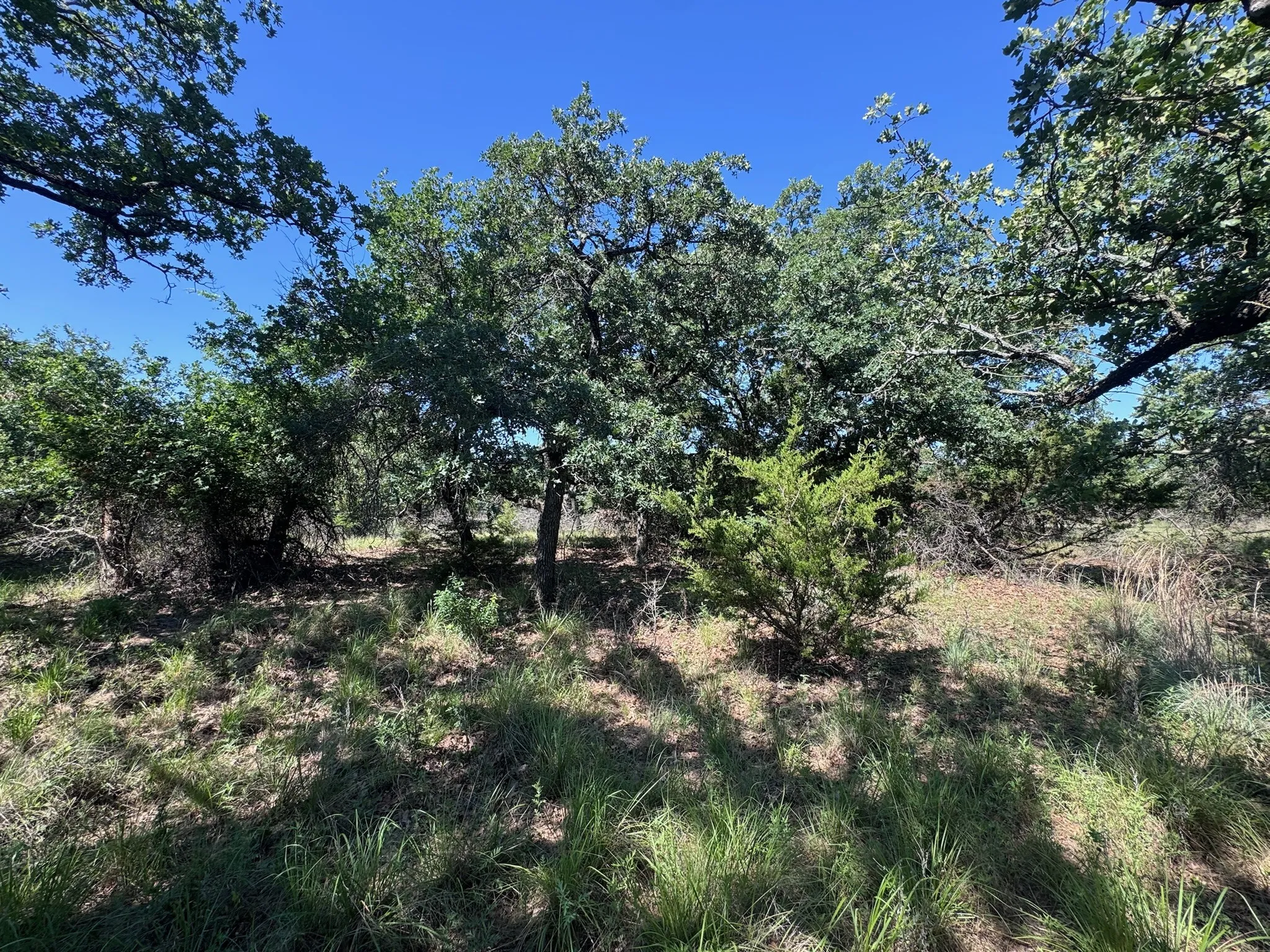 Unimproved Land For Sale in Palo Pinto County , A10 Glenhollow Drive, Gordon, Texas 76453, 0, 0, Garage spaces, 0 Sqft, built in 0, Price $14,500, mls#21346827, Real Estate Agent in Gordon, Homes For Sale in Palo Pinto county, Homes For Sale in Gordon, Realtor in Gordon Texas, Real Estate Brokerage Independent Realty Texas, Luminita Cordes Realtor
