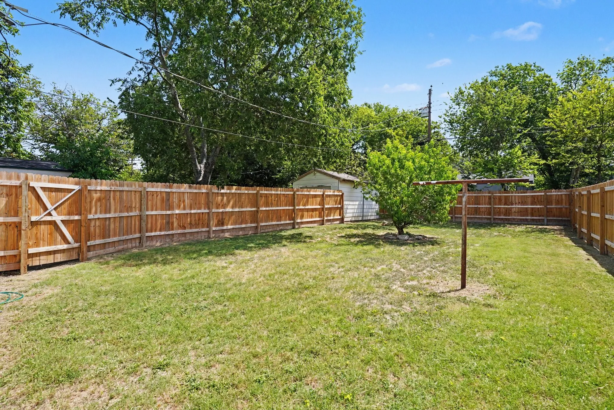 Backyard