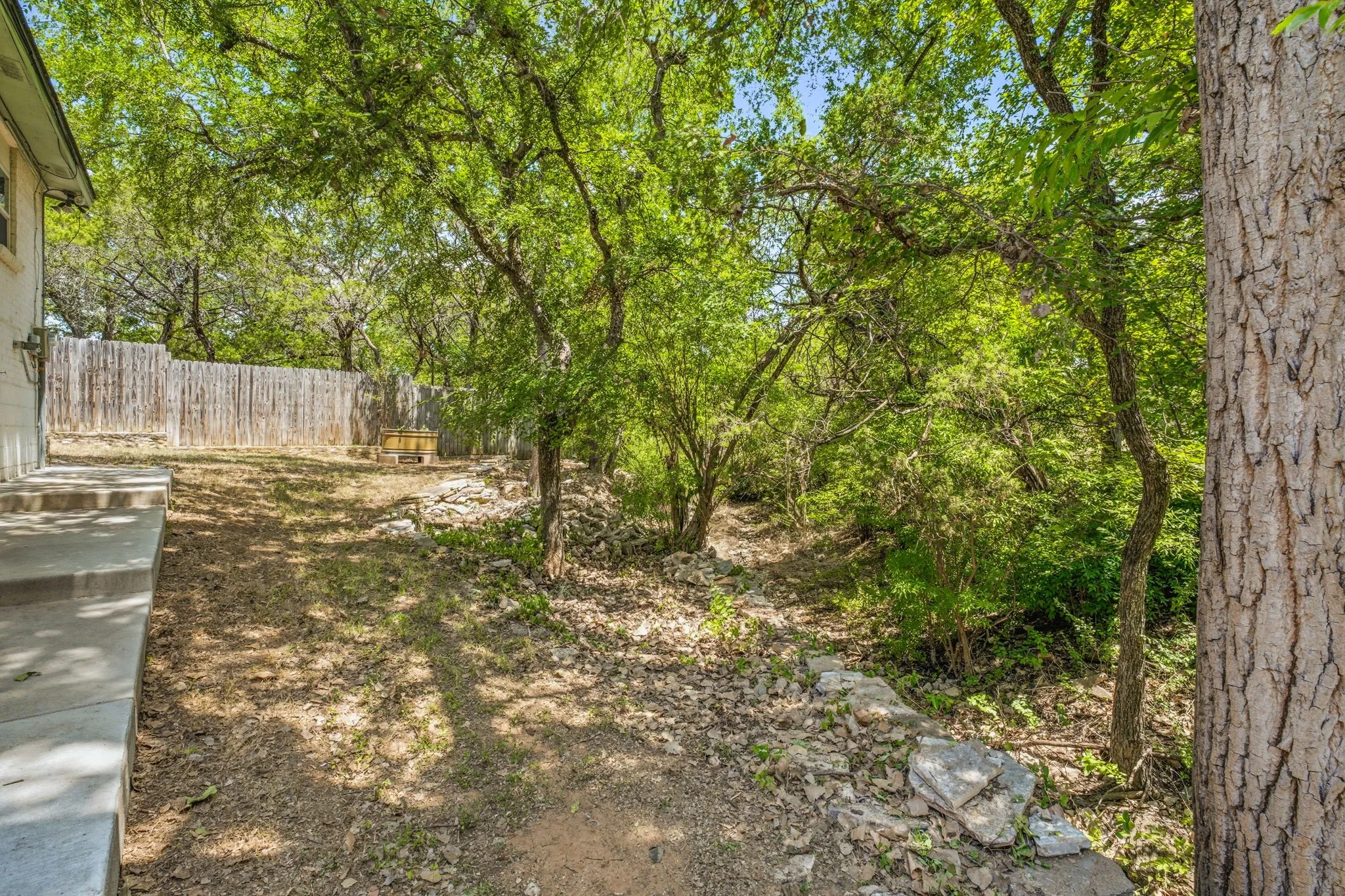 Expansive backyard featuring mature trees, a wood privacy fence, and a concrete patio