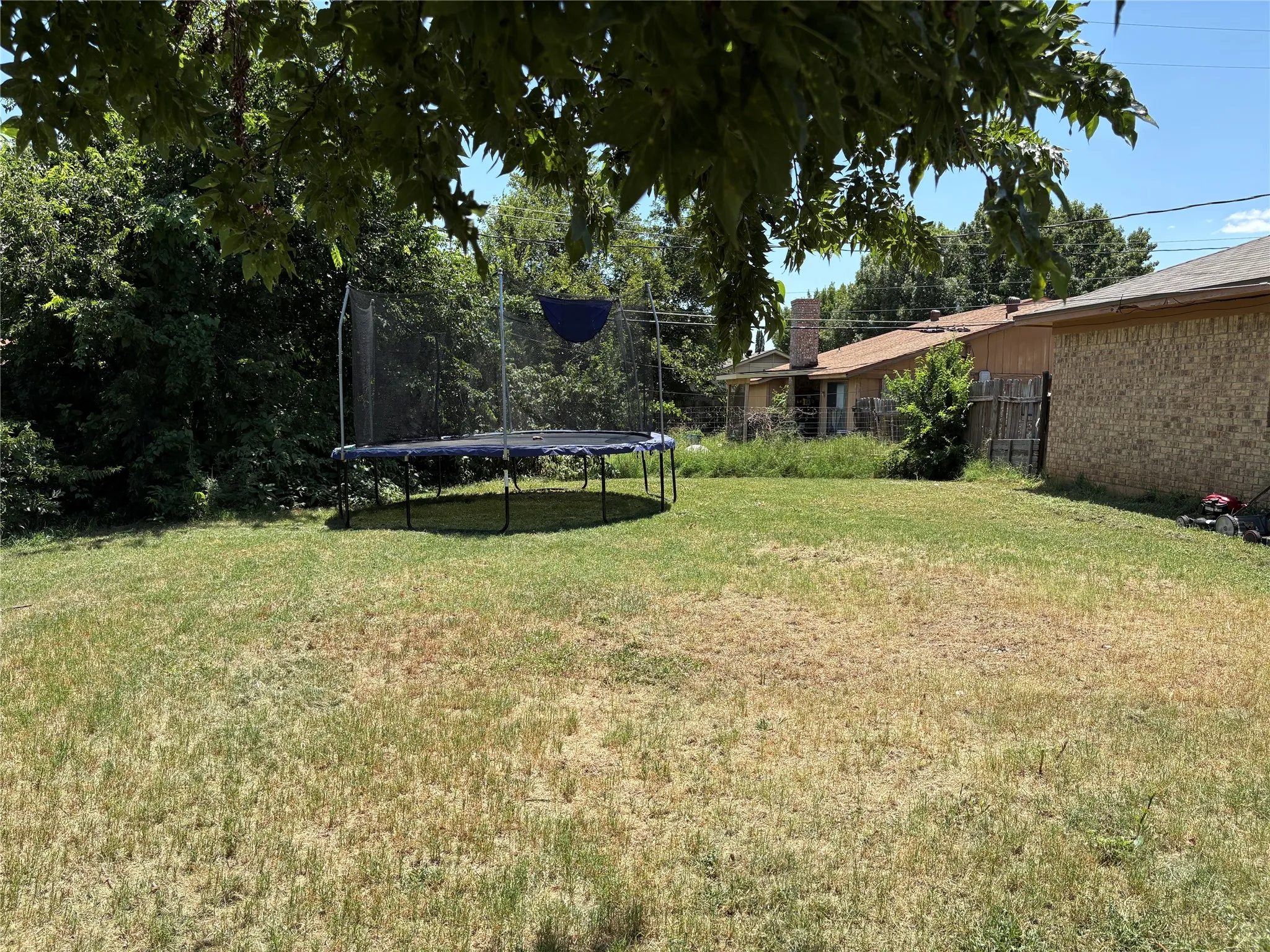 Spacious backyard with mature shade trees and expansive lawn area