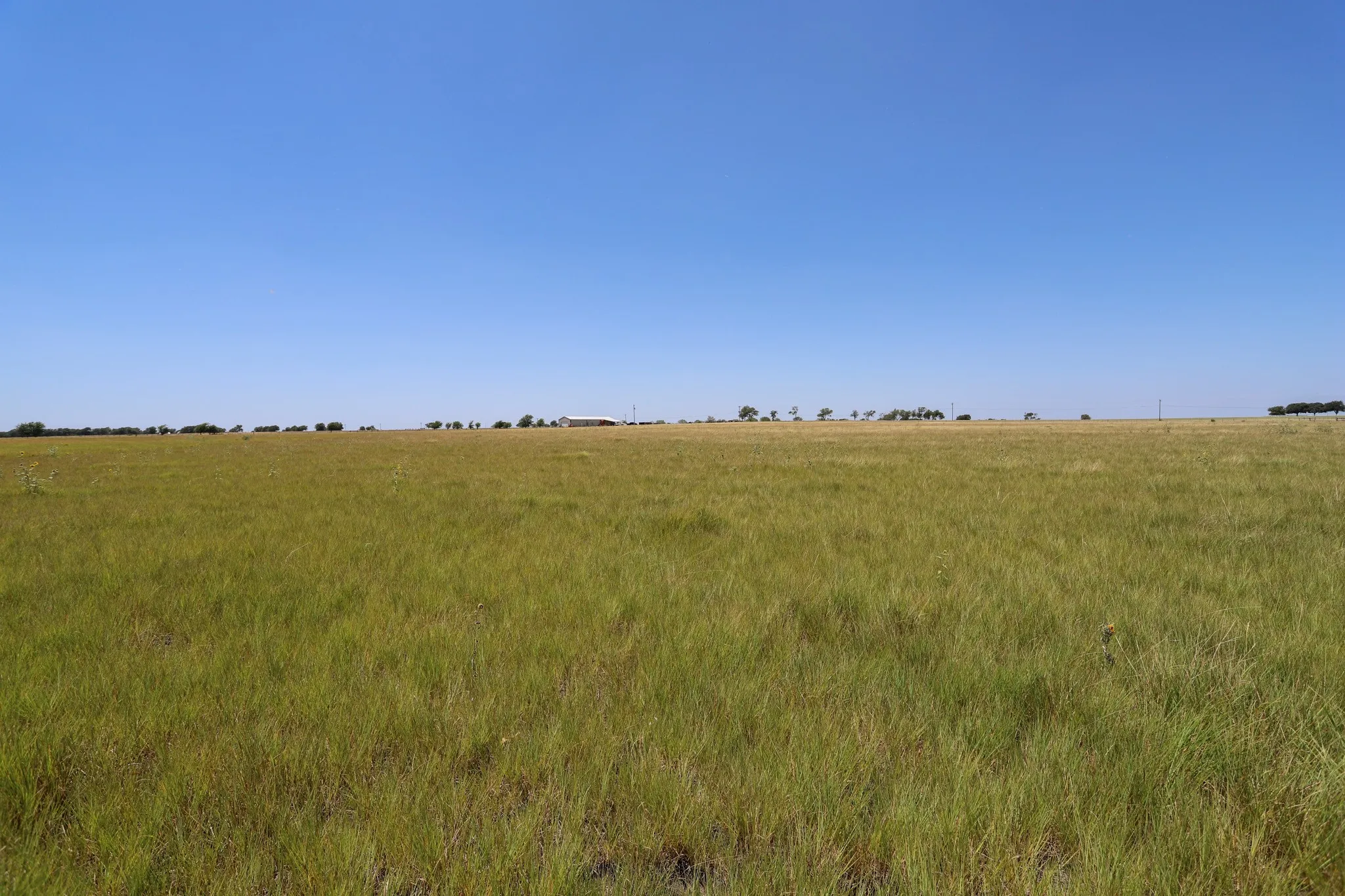 Unimproved Land For Sale in Mc Lennan County , TBD New Windsor Parkway, Mc Gregor, Texas 76657, 0, 0, Garage spaces, 0 Sqft, built in 0, mls#21342938, Real Estate Agent in Mc Gregor, Homes For Sale in Mc Lennan county, Homes For Sale in Mc Gregor, Realtor in Mc Gregor Texas, Real Estate Brokerage Independent Realty Texas, Luminita Cordes Realtor
