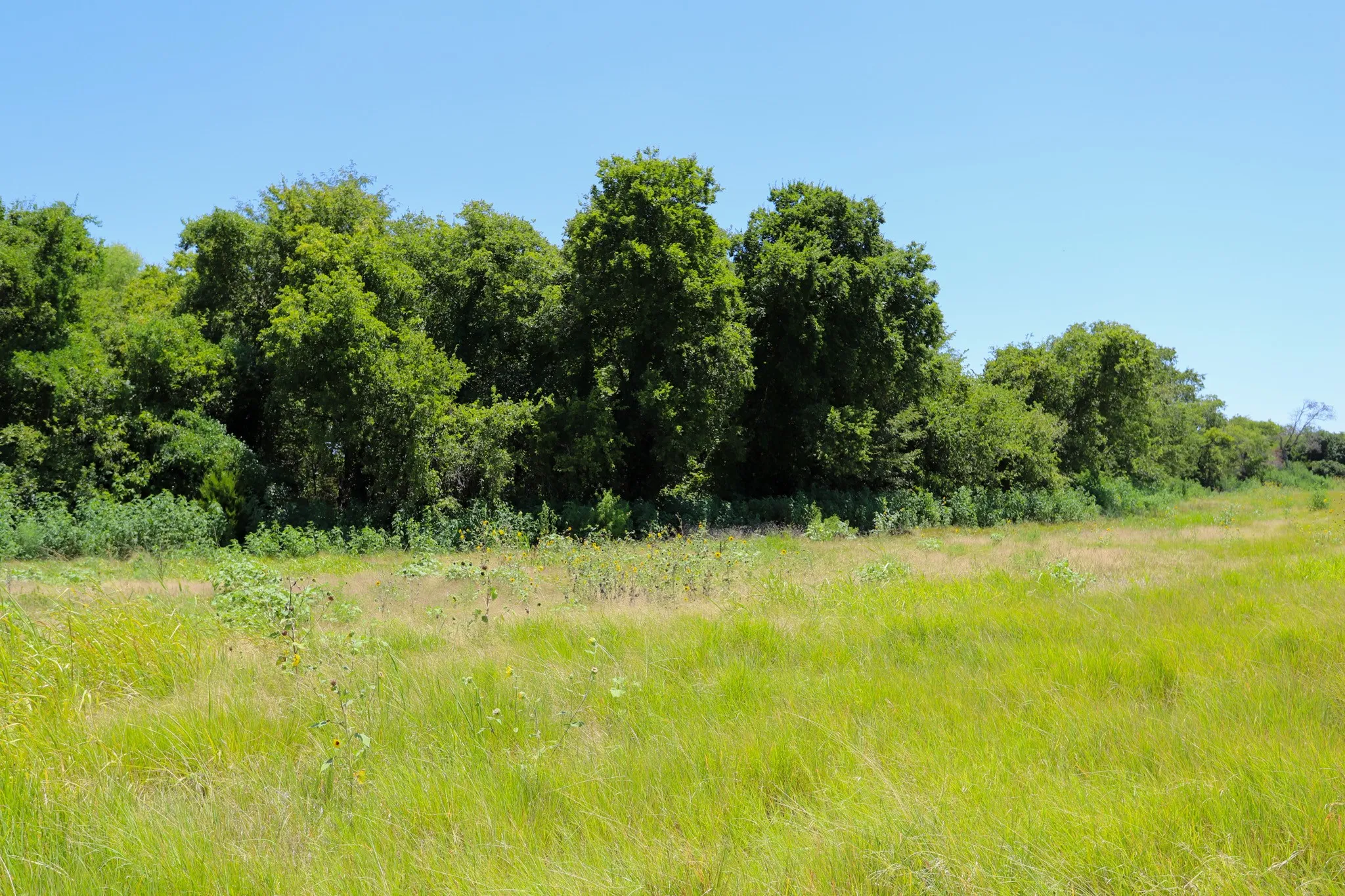 Unimproved Land For Sale in Mc Lennan County , TBD New Windsor Parkway, Mc Gregor, Texas 76657, 0, 0, Garage spaces, 0 Sqft, built in 0, mls#21342938, Real Estate Agent in Mc Gregor, Homes For Sale in Mc Lennan county, Homes For Sale in Mc Gregor, Realtor in Mc Gregor Texas, Real Estate Brokerage Independent Realty Texas, Luminita Cordes Realtor