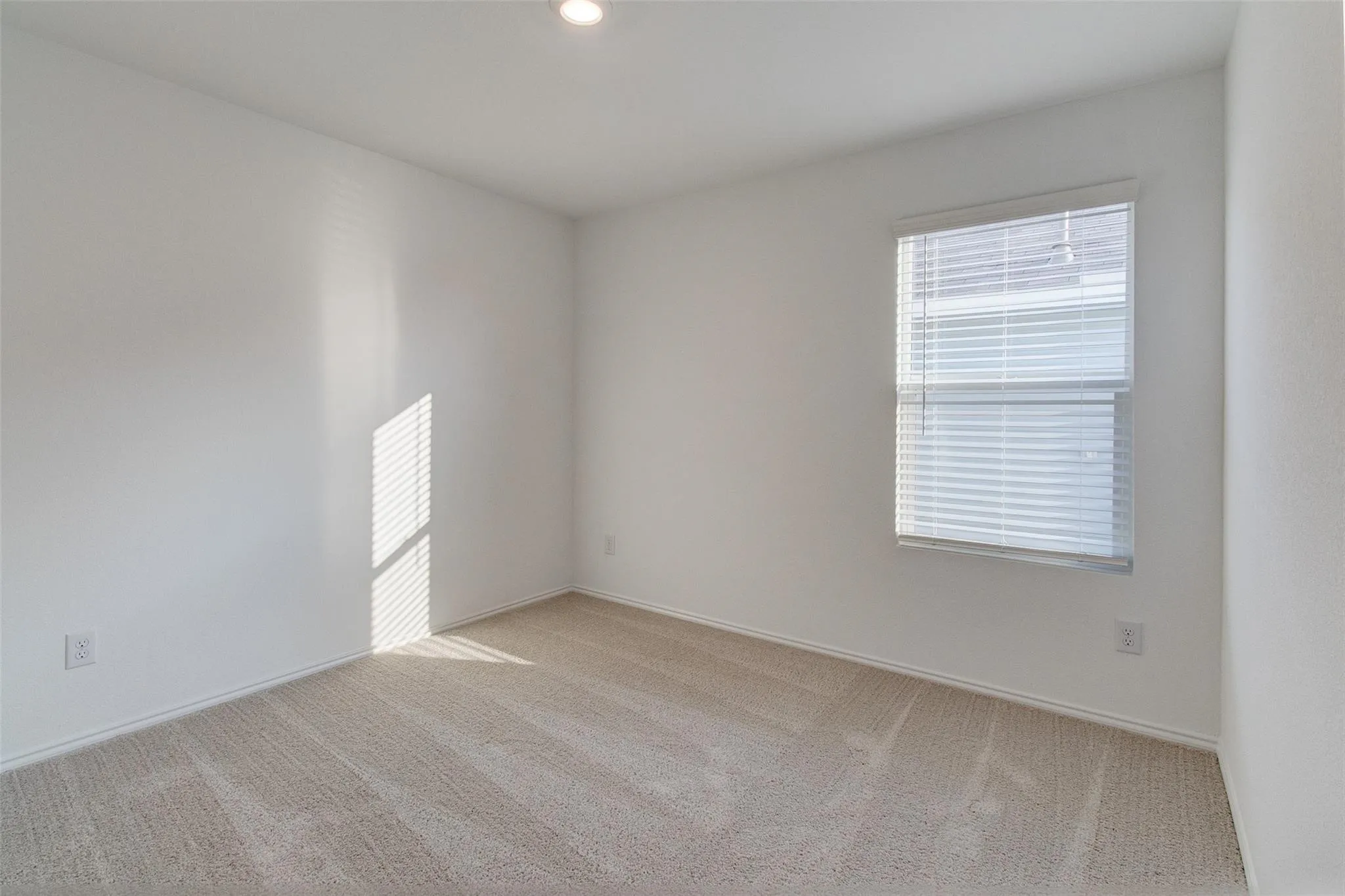 Bright interior space featuring light-colored carpeting and white walls