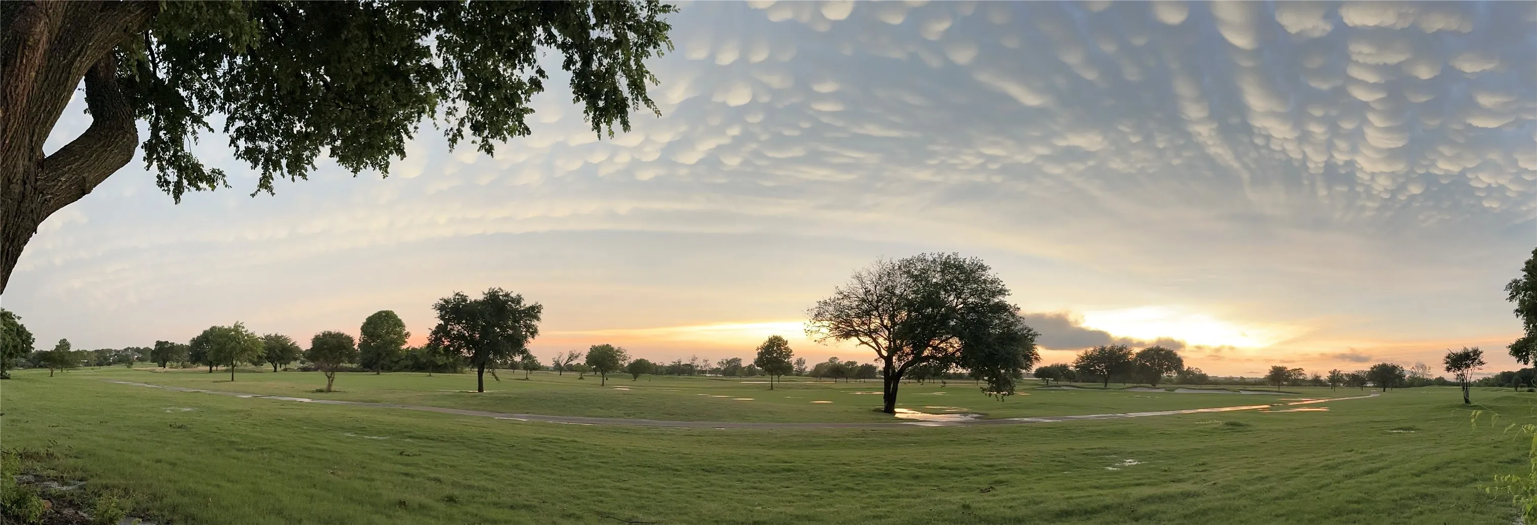 Single Family Residence For Sale in Rockwall County , 1695 Plummer Drive, Rockwall, Texas 75087, 5 Bedroom, 3 Bathroom, 2 Garage spaces, 2,479 Sqft, built in 1985, mls#21347022, Real Estate Agent in Rockwall, Homes For Sale in Rockwall county, Homes For Sale in Rockwall, Realtor in Rockwall Texas, Real Estate Brokerage Independent Realty Texas, Luminita Cordes Realtor