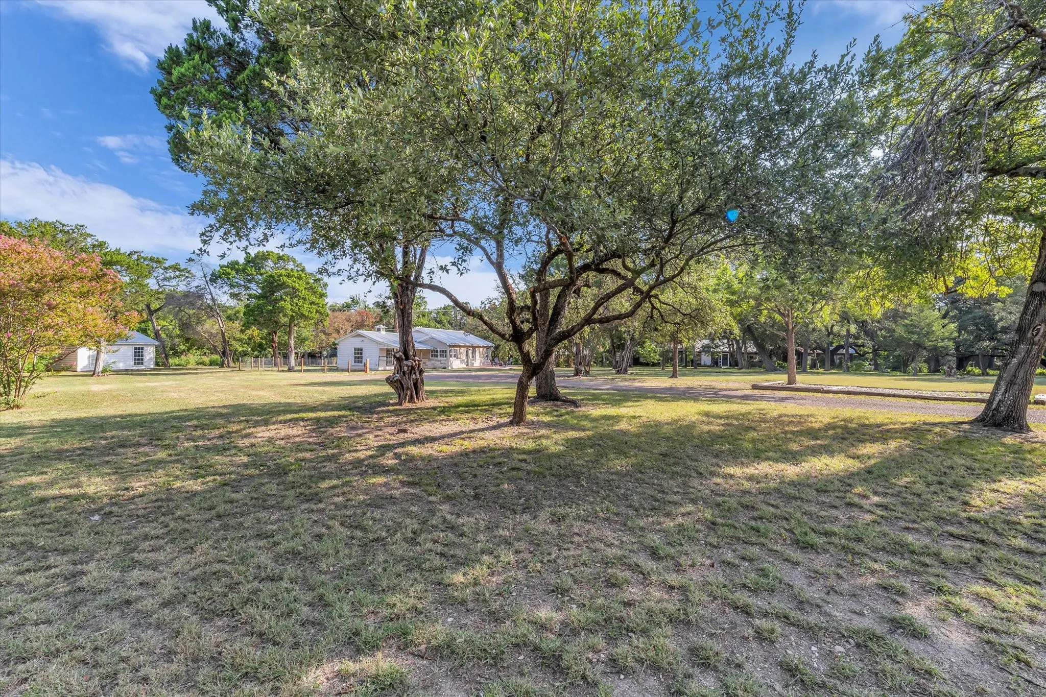 Expansive green space featuring mature trees providing ample shade