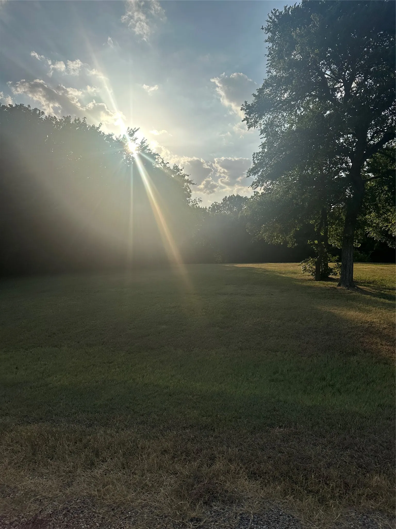Unimproved Land For Sale in Grayson County , 1449 Cypress Point Drive, Gunter, Texas 75058, 0, 0, Garage spaces, 0 Sqft, built in 0, mls#21345096, Real Estate Agent in Gunter, Homes For Sale in Grayson county, Homes For Sale in Gunter, Realtor in Gunter Texas, Real Estate Brokerage Independent Realty Texas, Luminita Cordes Realtor