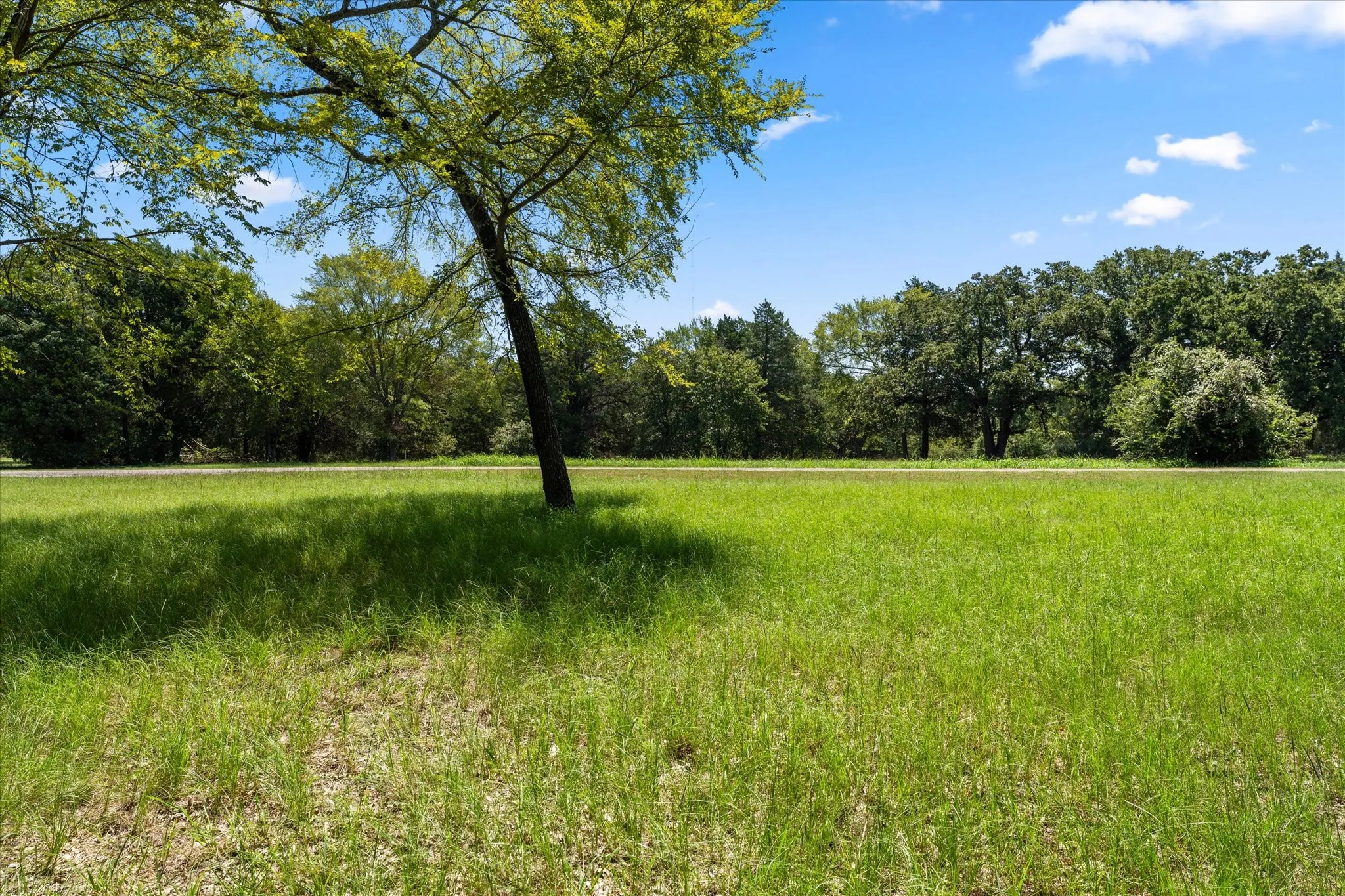 Unimproved Land For Sale in Navarro County , Lt 65 Sombrilla, Kerens, Texas 75144, 0, 0, Garage spaces, 0 Sqft, built in 0, mls#21347156, Real Estate Agent in Kerens, Homes For Sale in Navarro county, Homes For Sale in Kerens, Realtor in Kerens Texas, Real Estate Brokerage Independent Realty Texas, Luminita Cordes Realtor