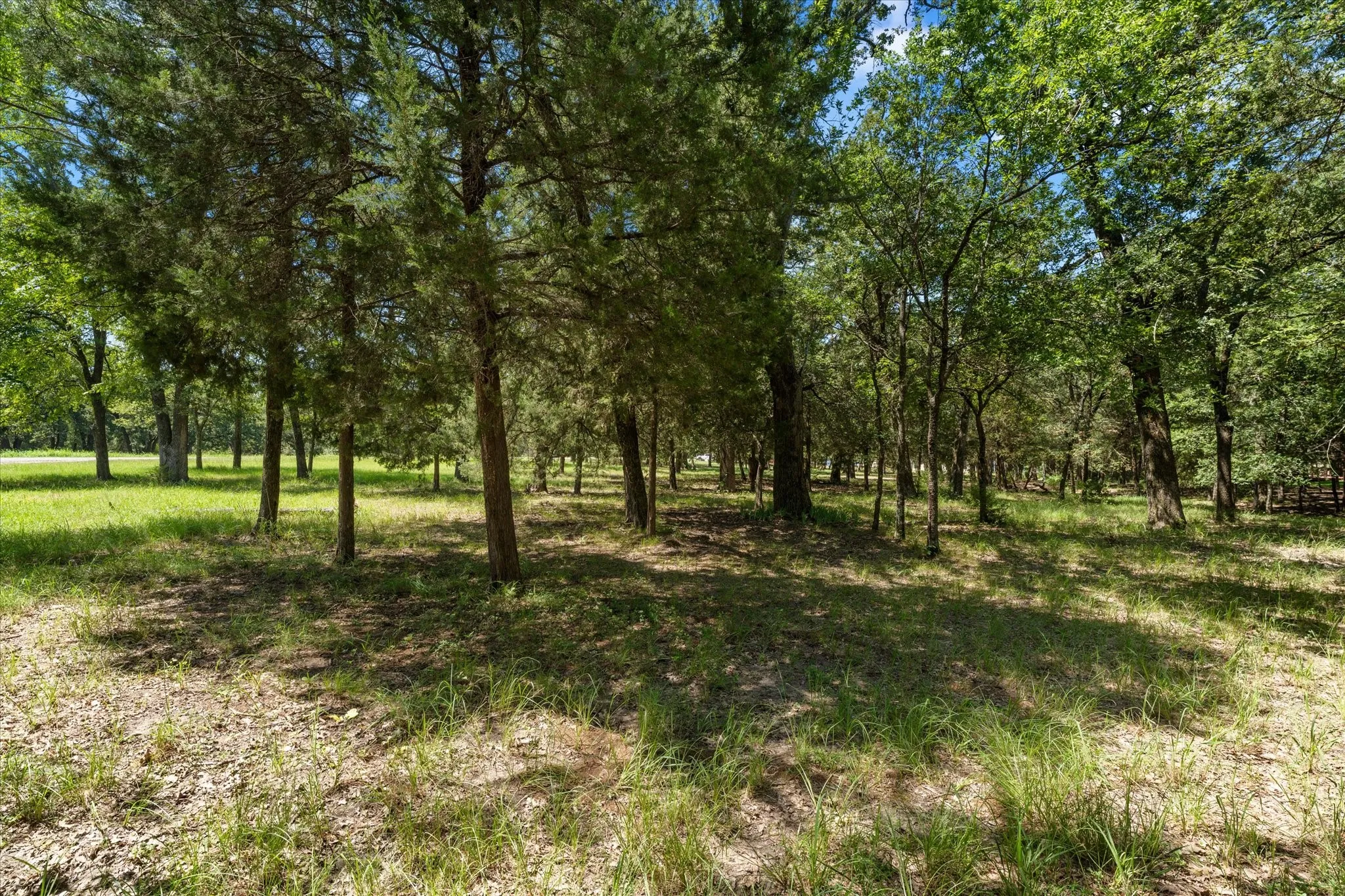 Unimproved Land For Sale in Navarro County , Lt 65 Sombrilla, Kerens, Texas 75144, 0, 0, Garage spaces, 0 Sqft, built in 0, mls#21347156, Real Estate Agent in Kerens, Homes For Sale in Navarro county, Homes For Sale in Kerens, Realtor in Kerens Texas, Real Estate Brokerage Independent Realty Texas, Luminita Cordes Realtor