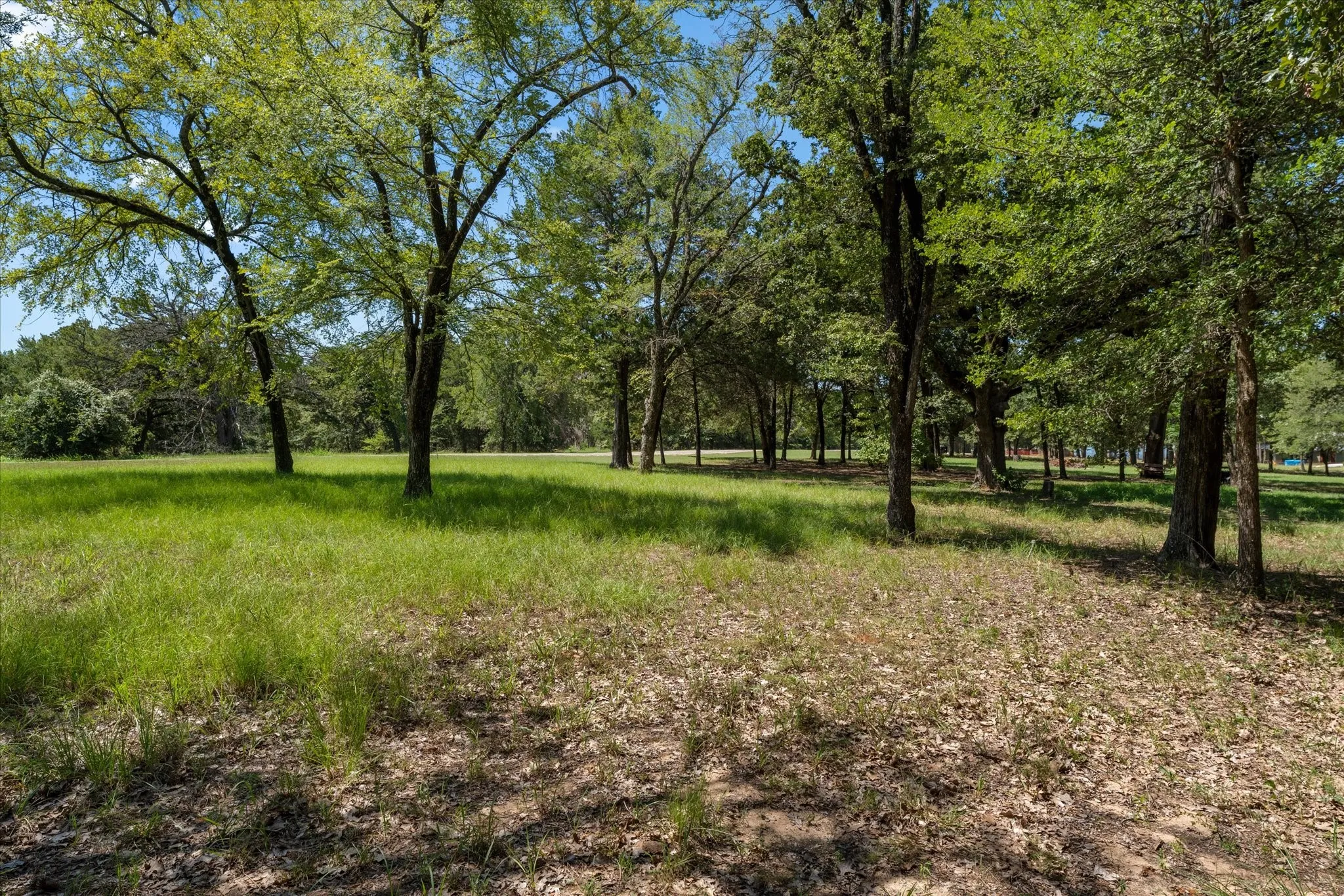 Unimproved Land For Sale in Navarro County , Lt 65 Sombrilla, Kerens, Texas 75144, 0, 0, Garage spaces, 0 Sqft, built in 0, mls#21347156, Real Estate Agent in Kerens, Homes For Sale in Navarro county, Homes For Sale in Kerens, Realtor in Kerens Texas, Real Estate Brokerage Independent Realty Texas, Luminita Cordes Realtor