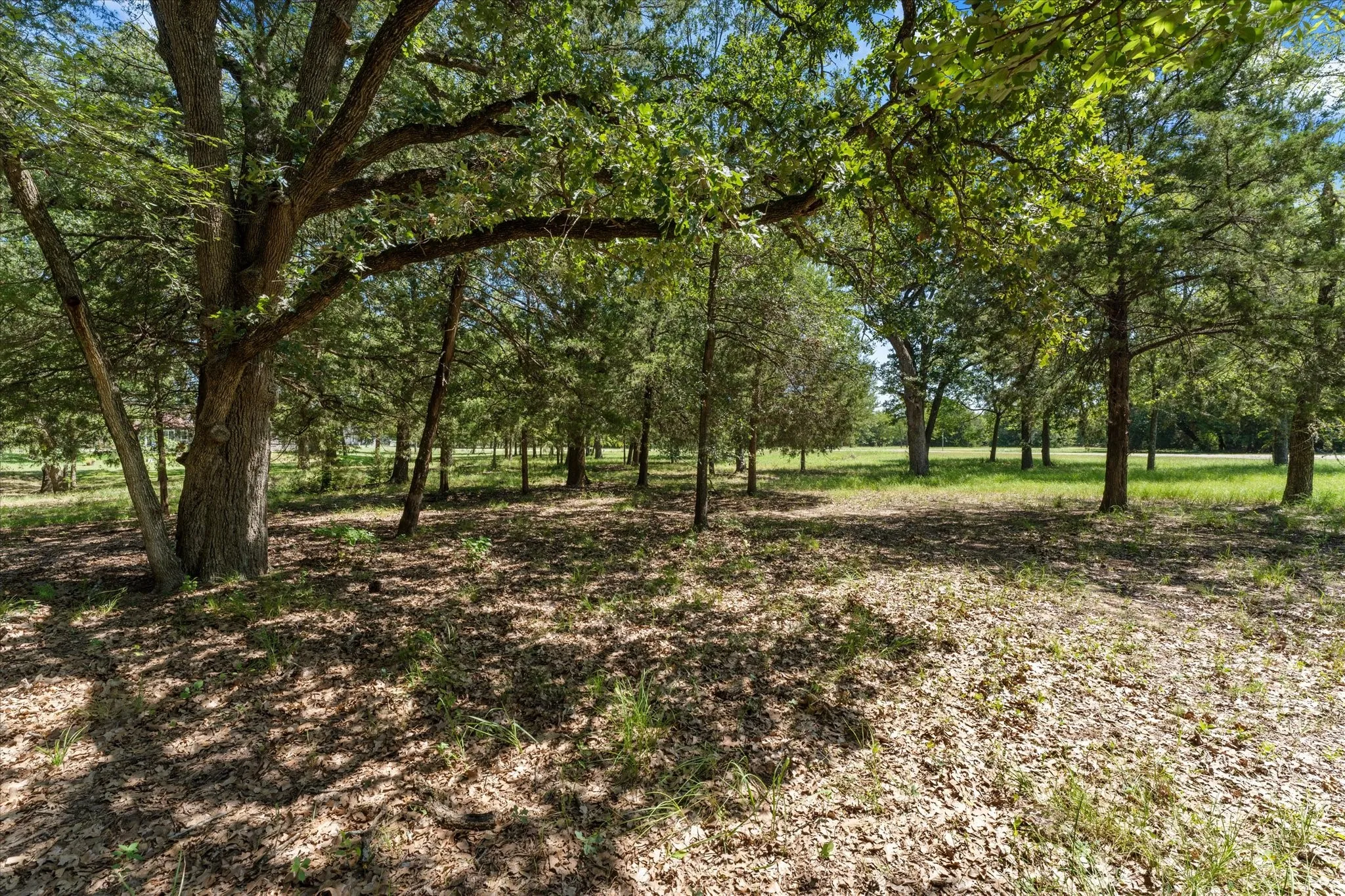 Unimproved Land For Sale in Navarro County , Lt 65 Sombrilla, Kerens, Texas 75144, 0, 0, Garage spaces, 0 Sqft, built in 0, mls#21347156, Real Estate Agent in Kerens, Homes For Sale in Navarro county, Homes For Sale in Kerens, Realtor in Kerens Texas, Real Estate Brokerage Independent Realty Texas, Luminita Cordes Realtor