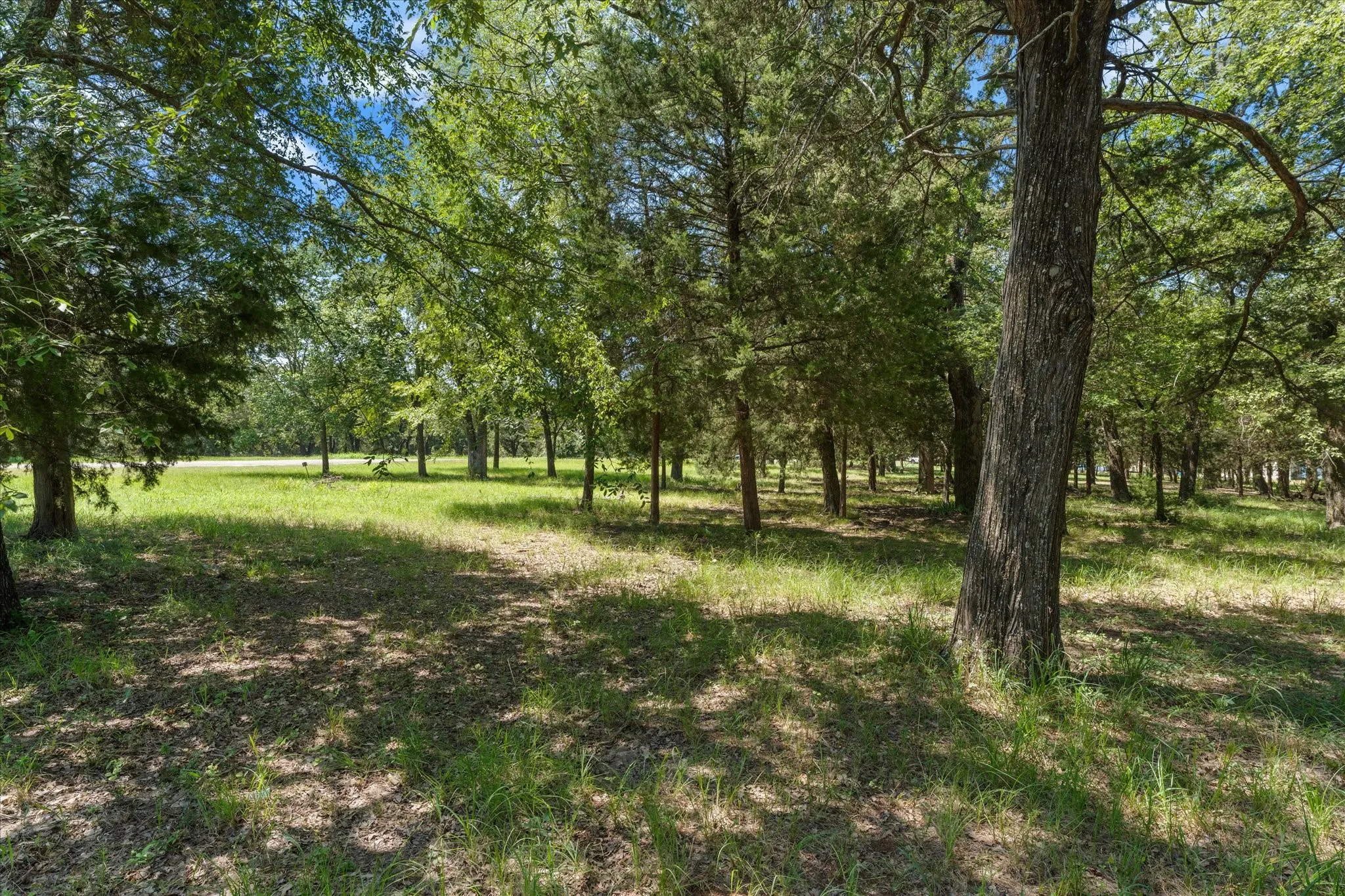 Unimproved Land For Sale in Navarro County , Lt 65 Sombrilla, Kerens, Texas 75144, 0, 0, Garage spaces, 0 Sqft, built in 0, mls#21347156, Real Estate Agent in Kerens, Homes For Sale in Navarro county, Homes For Sale in Kerens, Realtor in Kerens Texas, Real Estate Brokerage Independent Realty Texas, Luminita Cordes Realtor