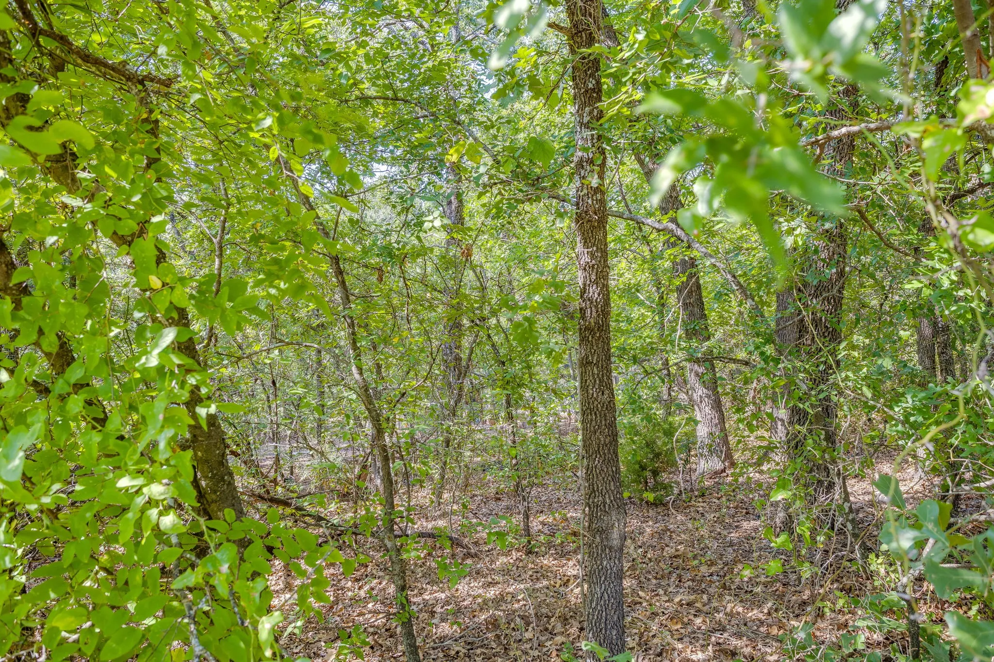 Separate land for sale or can be included for additional price!