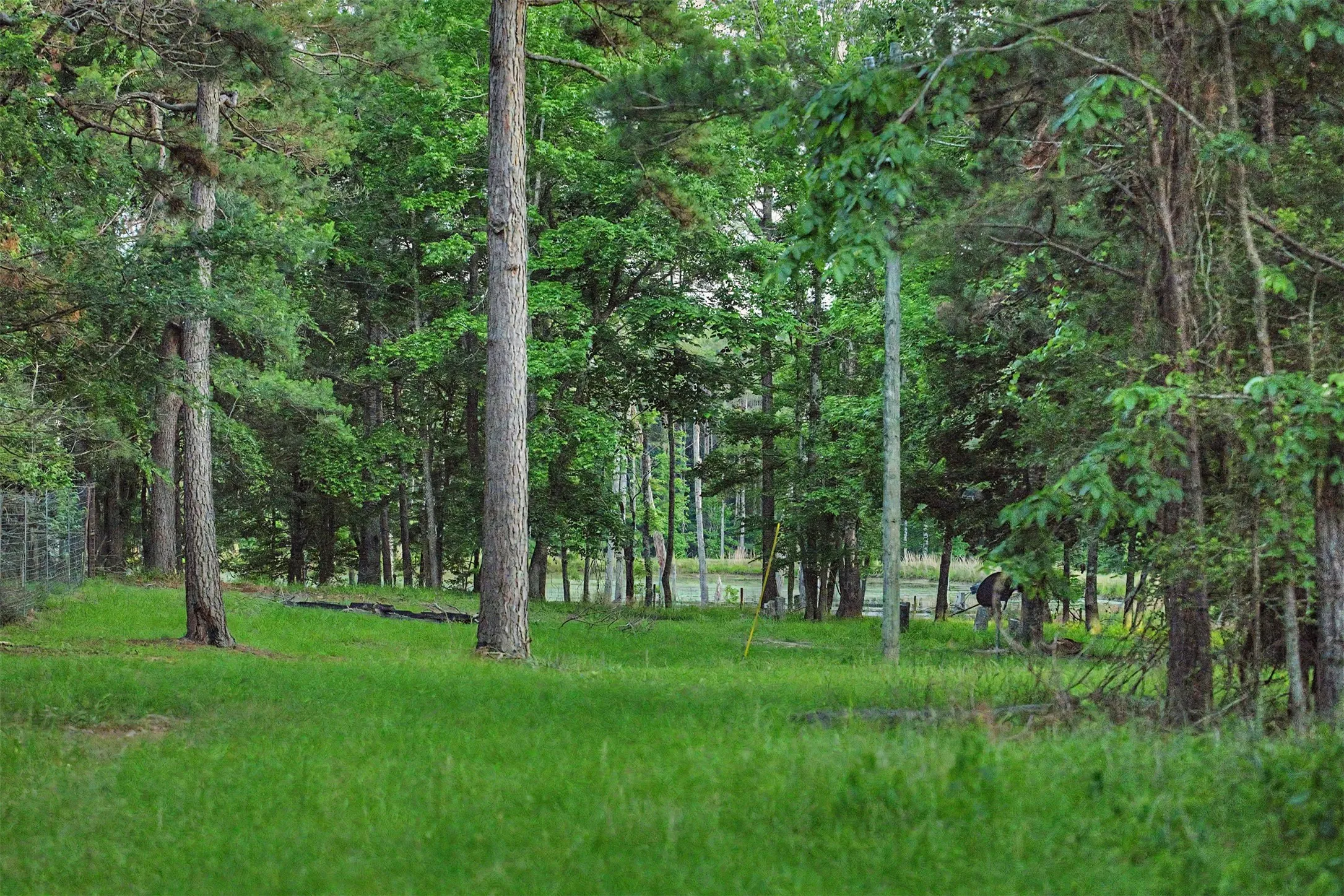 Ranch For Sale in Panola County , 00 County Road 448, Carthage, Texas 75633, 0, 0, Garage spaces, 0 Sqft, built in 0, mls#21321044, Real Estate Agent in Carthage, Homes For Sale in Panola county, Homes For Sale in Carthage, Realtor in Carthage Texas, Real Estate Brokerage Independent Realty Texas, Luminita Cordes Realtor