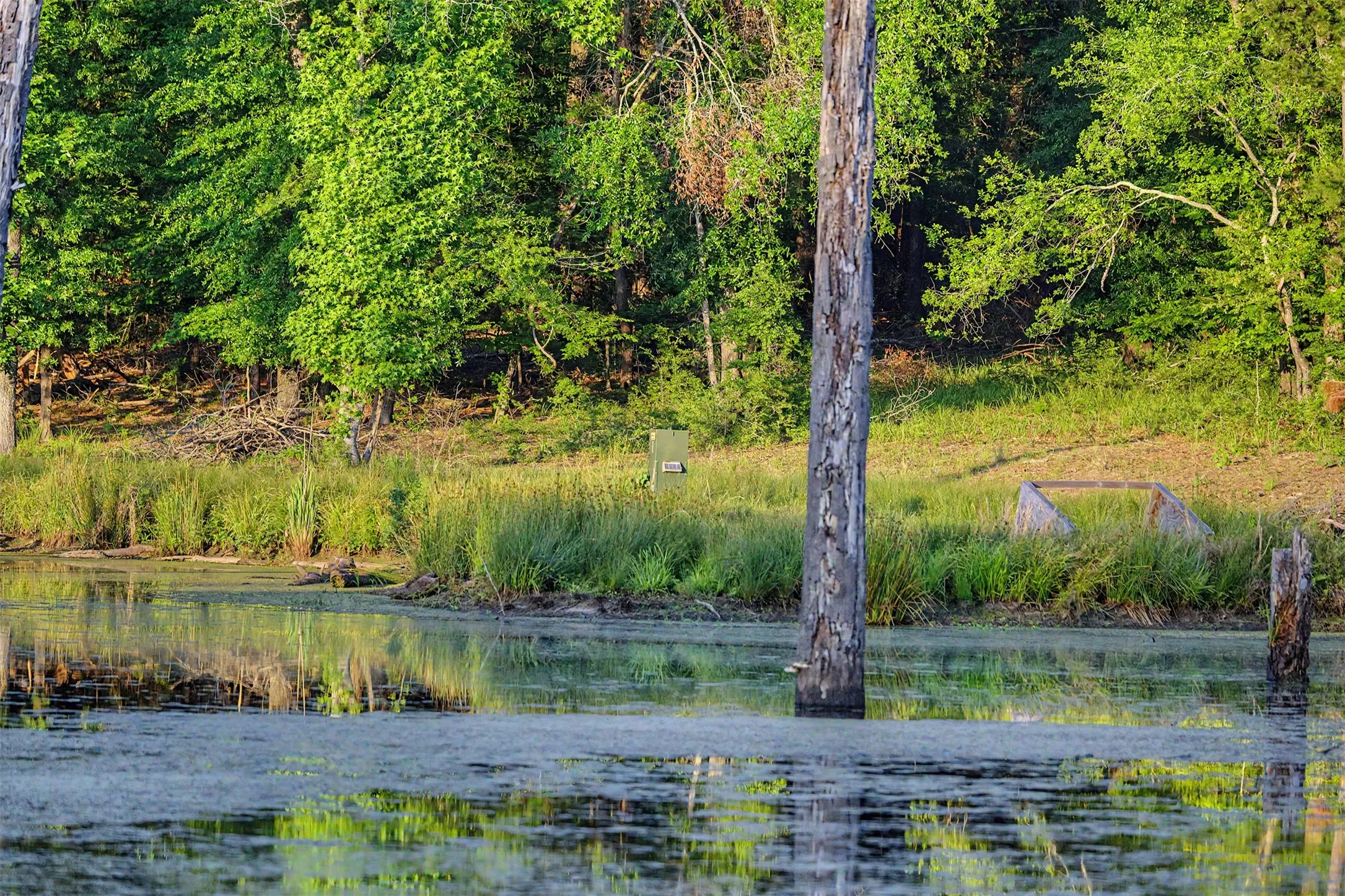 Ranch For Sale in Panola County , 00 County Road 448, Carthage, Texas 75633, 0, 0, Garage spaces, 0 Sqft, built in 0, mls#21321044, Real Estate Agent in Carthage, Homes For Sale in Panola county, Homes For Sale in Carthage, Realtor in Carthage Texas, Real Estate Brokerage Independent Realty Texas, Luminita Cordes Realtor