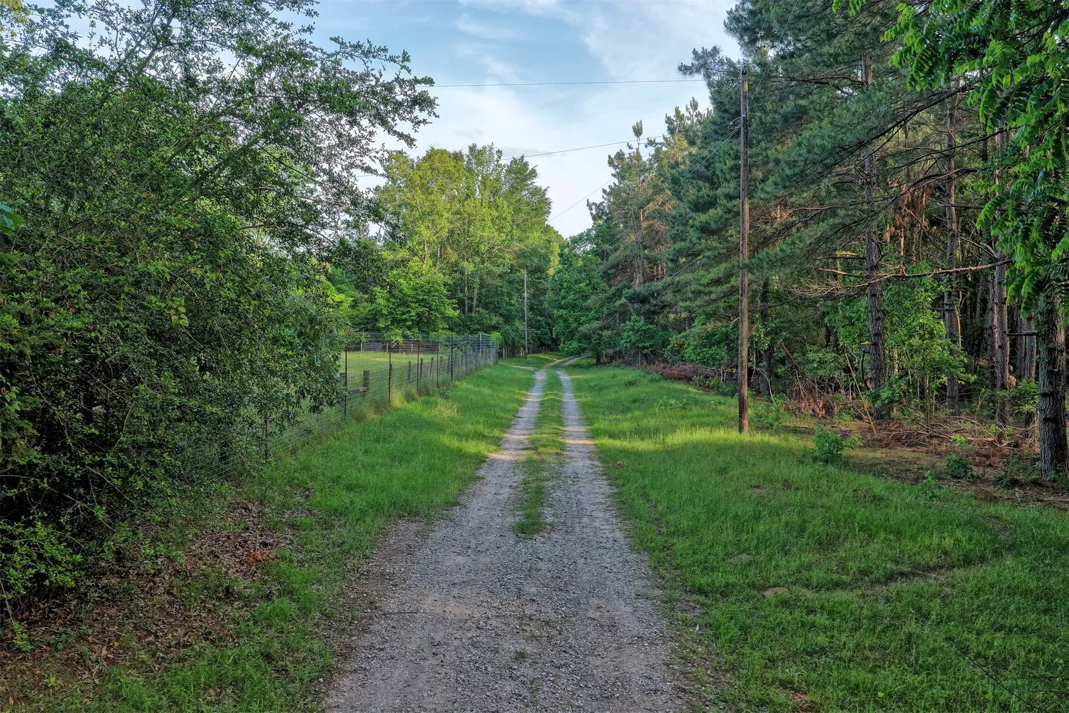 Ranch For Sale in Panola County , 00 County Road 448, Carthage, Texas 75633, 0, 0, Garage spaces, 0 Sqft, built in 0, mls#21321044, Real Estate Agent in Carthage, Homes For Sale in Panola county, Homes For Sale in Carthage, Realtor in Carthage Texas, Real Estate Brokerage Independent Realty Texas, Luminita Cordes Realtor