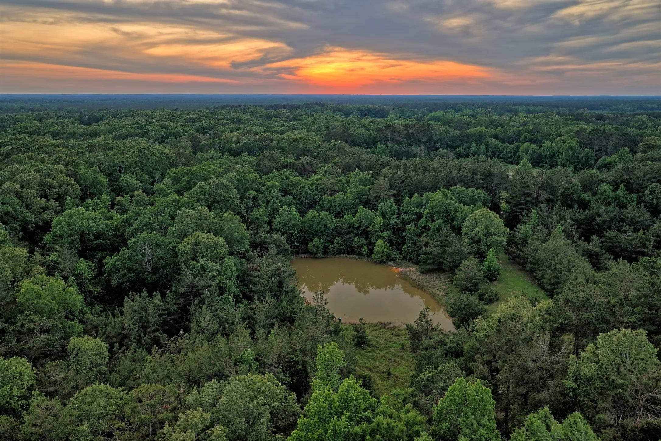Ranch For Sale in Panola County , 00 County Road 448, Carthage, Texas 75633, 0, 0, Garage spaces, 0 Sqft, built in 0, mls#21321044, Real Estate Agent in Carthage, Homes For Sale in Panola county, Homes For Sale in Carthage, Realtor in Carthage Texas, Real Estate Brokerage Independent Realty Texas, Luminita Cordes Realtor