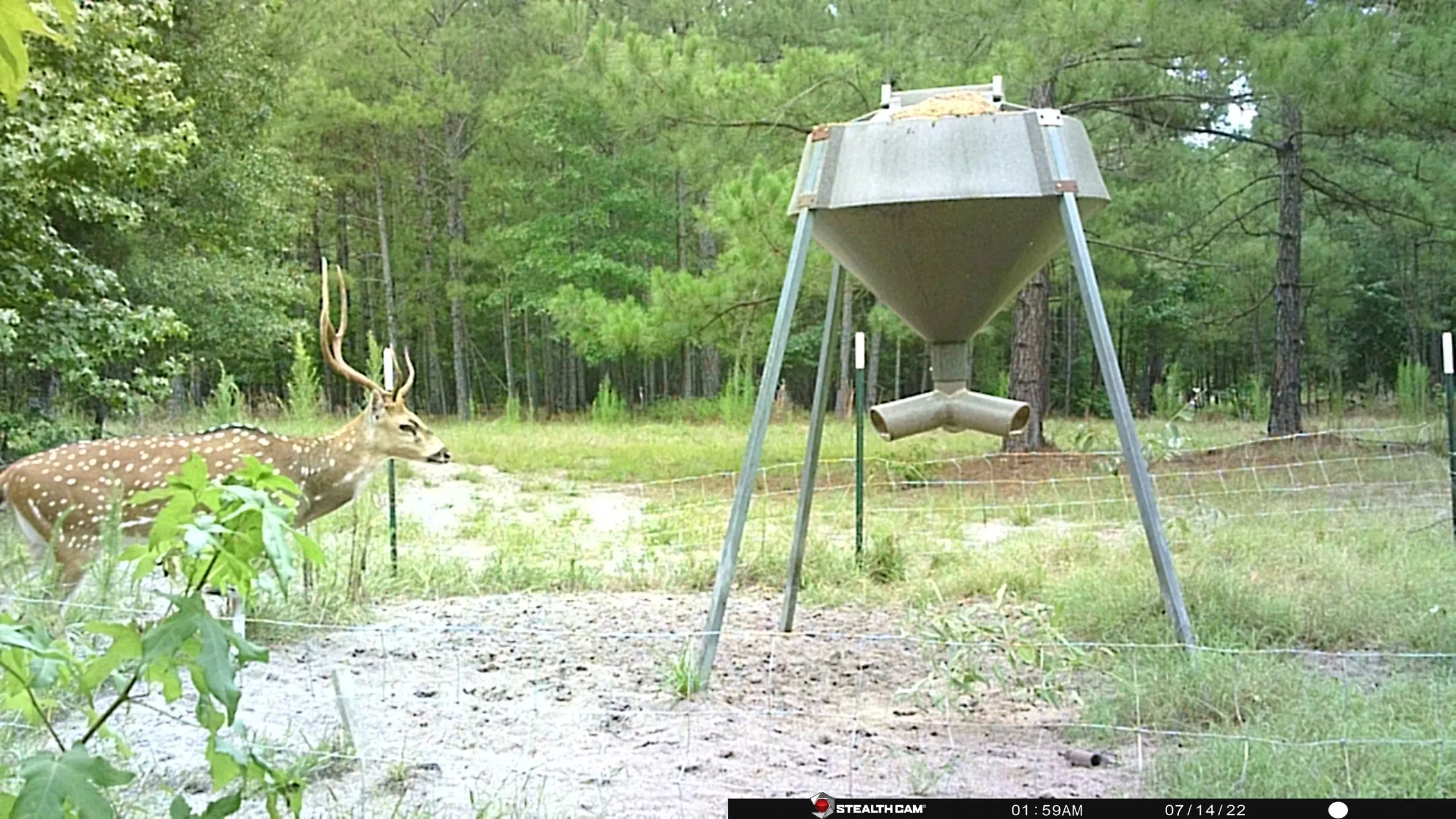 Ranch For Sale in Panola County , 00 County Road 448, Carthage, Texas 75633, 0, 0, Garage spaces, 0 Sqft, built in 0, mls#21321044, Real Estate Agent in Carthage, Homes For Sale in Panola county, Homes For Sale in Carthage, Realtor in Carthage Texas, Real Estate Brokerage Independent Realty Texas, Luminita Cordes Realtor