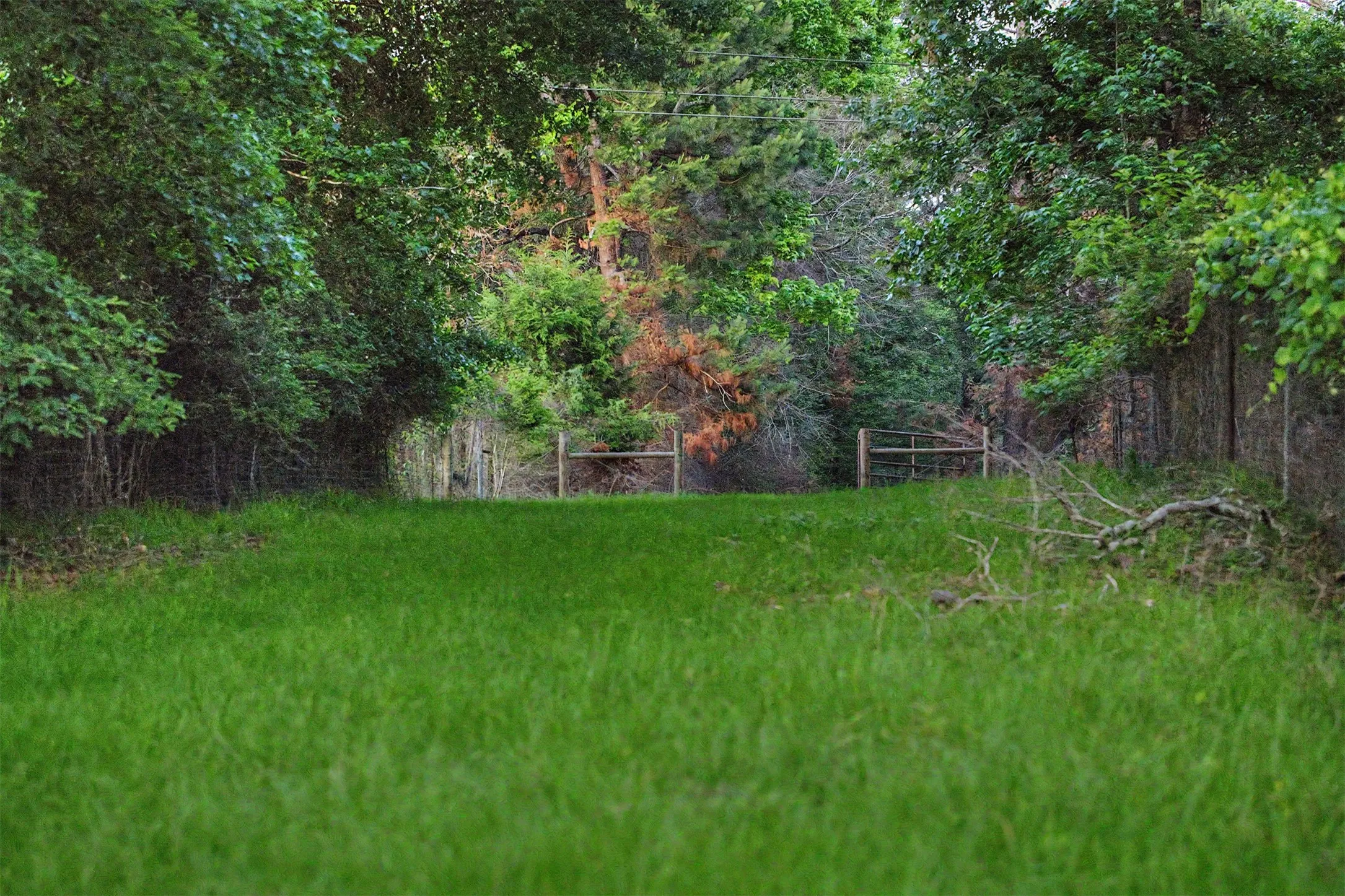Ranch For Sale in Panola County , 00 County Road 448, Carthage, Texas 75633, 0, 0, Garage spaces, 0 Sqft, built in 0, mls#21321044, Real Estate Agent in Carthage, Homes For Sale in Panola county, Homes For Sale in Carthage, Realtor in Carthage Texas, Real Estate Brokerage Independent Realty Texas, Luminita Cordes Realtor