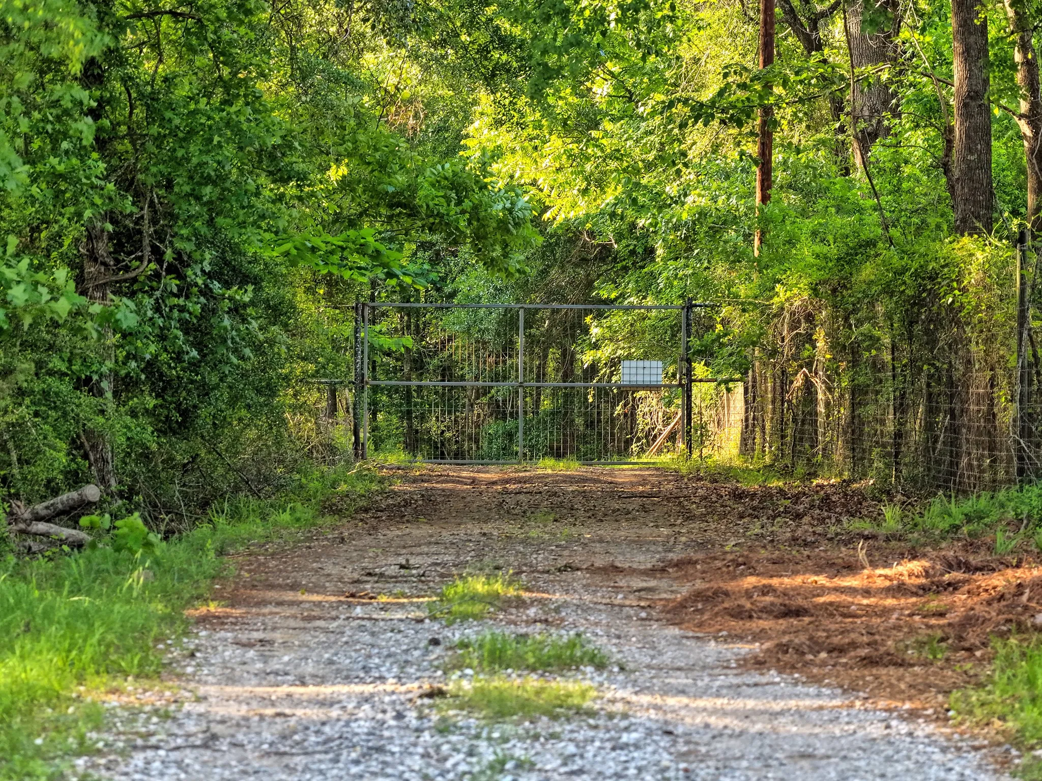Ranch For Sale in Panola County , 00 County Road 448, Carthage, Texas 75633, 0, 0, Garage spaces, 0 Sqft, built in 0, mls#21321044, Real Estate Agent in Carthage, Homes For Sale in Panola county, Homes For Sale in Carthage, Realtor in Carthage Texas, Real Estate Brokerage Independent Realty Texas, Luminita Cordes Realtor