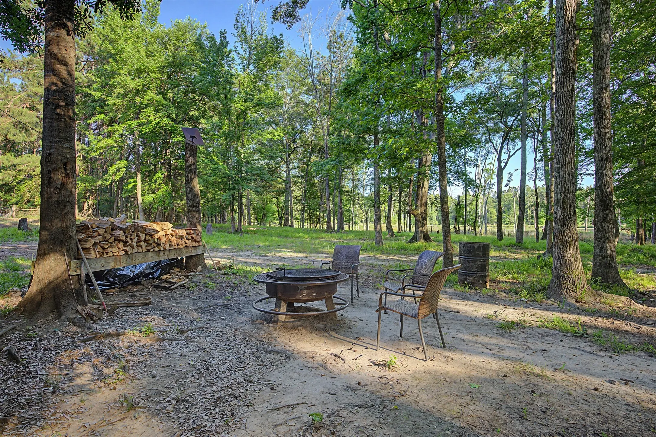 Ranch For Sale in Panola County , 00 County Road 448, Carthage, Texas 75633, 0, 0, Garage spaces, 0 Sqft, built in 0, mls#21321044, Real Estate Agent in Carthage, Homes For Sale in Panola county, Homes For Sale in Carthage, Realtor in Carthage Texas, Real Estate Brokerage Independent Realty Texas, Luminita Cordes Realtor