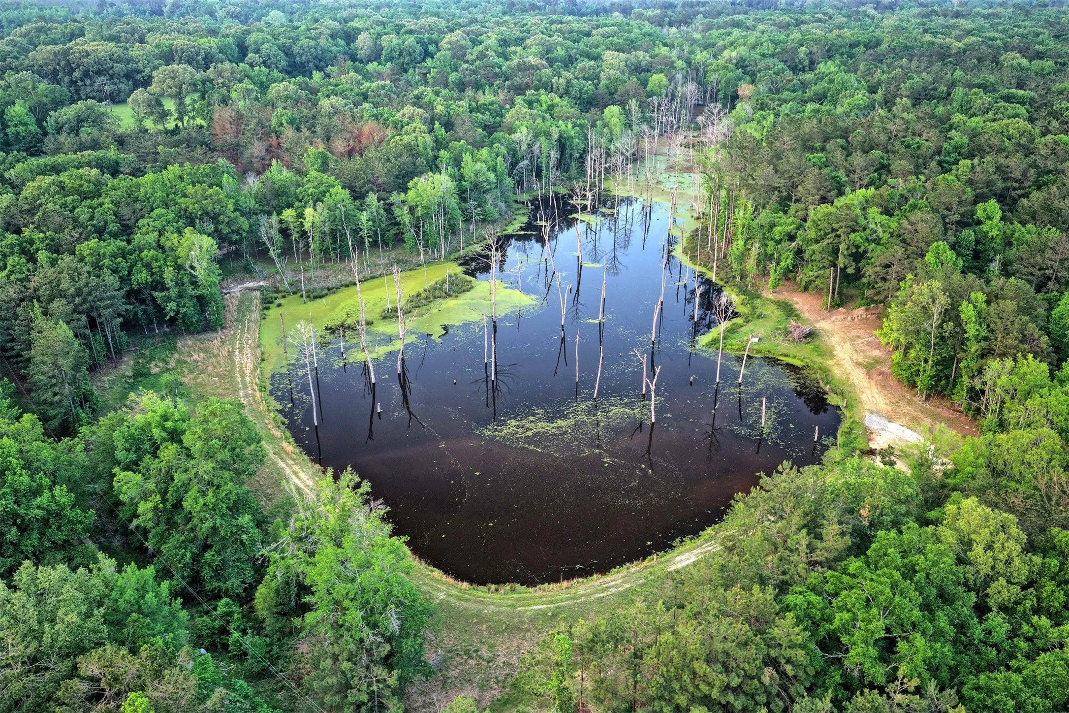 Ranch For Sale in Panola County , 00 County Road 448, Carthage, Texas 75633, 0, 0, Garage spaces, 0 Sqft, built in 0, mls#21321044, Real Estate Agent in Carthage, Homes For Sale in Panola county, Homes For Sale in Carthage, Realtor in Carthage Texas, Real Estate Brokerage Independent Realty Texas, Luminita Cordes Realtor
