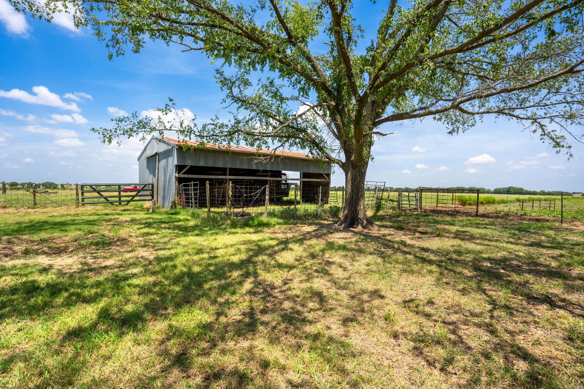 Expansive rural landscape featuring a large, mature tree providing natural canopy