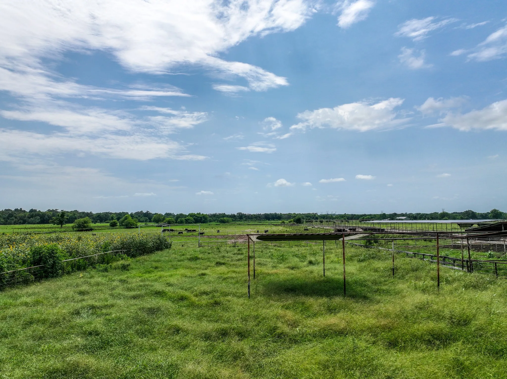 Ranch For Sale in Hopkins County , 270 Farm Road 2560, Sulphur Springs, Texas 75482, 0, 0, Garage spaces, 0 Sqft, built in 1960, Price $879,999, mls#21303467, Real Estate Agent in Sulphur Springs, Homes For Sale in Hopkins county, Homes For Sale in Sulphur Springs, Realtor in Sulphur Springs Texas, Real Estate Brokerage Independent Realty Texas, Luminita Cordes Realtor