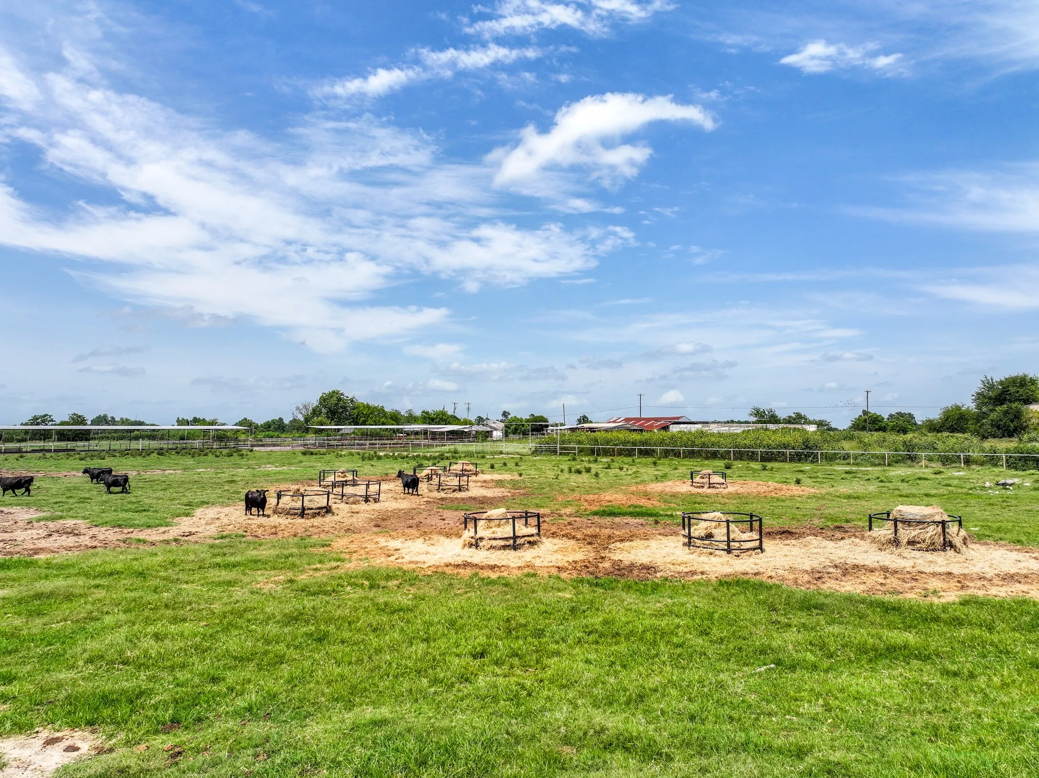Ranch For Sale in Hopkins County , 270 Farm Road 2560, Sulphur Springs, Texas 75482, 0, 0, Garage spaces, 0 Sqft, built in 1960, Price $879,999, mls#21303467, Real Estate Agent in Sulphur Springs, Homes For Sale in Hopkins county, Homes For Sale in Sulphur Springs, Realtor in Sulphur Springs Texas, Real Estate Brokerage Independent Realty Texas, Luminita Cordes Realtor