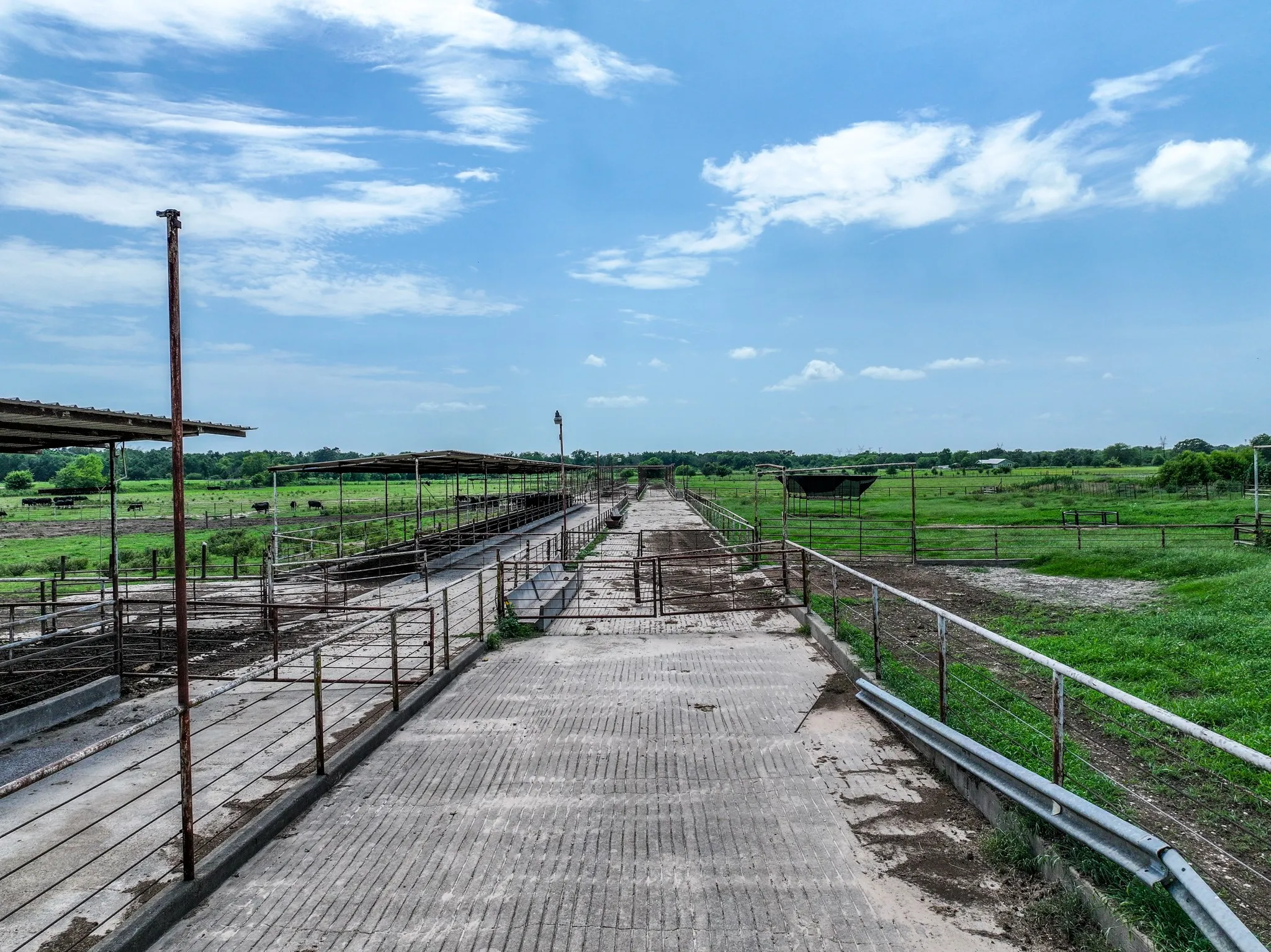 Ranch For Sale in Hopkins County , 270 Farm Road 2560, Sulphur Springs, Texas 75482, 0, 0, Garage spaces, 0 Sqft, built in 1960, Price $879,999, mls#21303467, Real Estate Agent in Sulphur Springs, Homes For Sale in Hopkins county, Homes For Sale in Sulphur Springs, Realtor in Sulphur Springs Texas, Real Estate Brokerage Independent Realty Texas, Luminita Cordes Realtor