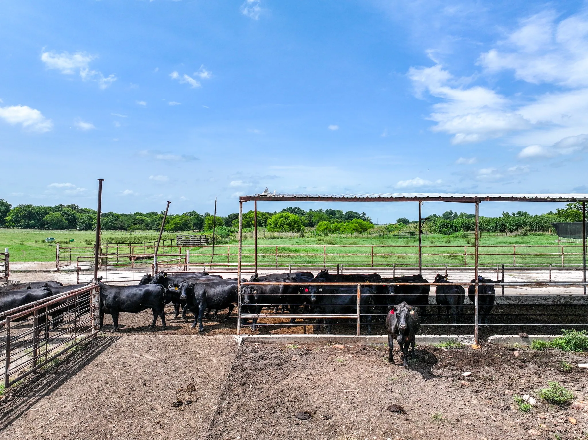 Ranch For Sale in Hopkins County , 270 Farm Road 2560, Sulphur Springs, Texas 75482, 0, 0, Garage spaces, 0 Sqft, built in 1960, Price $879,999, mls#21303467, Real Estate Agent in Sulphur Springs, Homes For Sale in Hopkins county, Homes For Sale in Sulphur Springs, Realtor in Sulphur Springs Texas, Real Estate Brokerage Independent Realty Texas, Luminita Cordes Realtor
