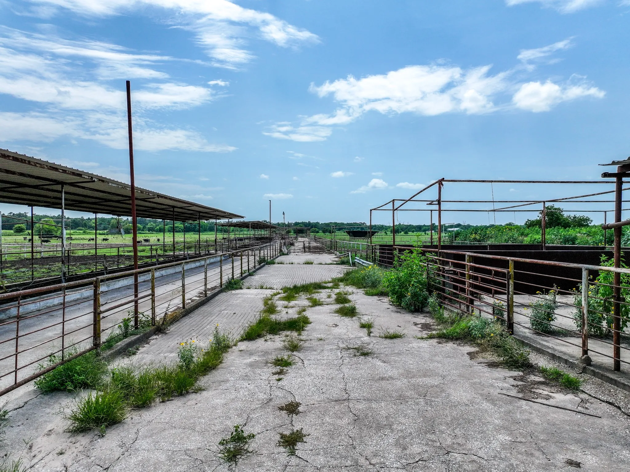 Ranch For Sale in Hopkins County , 270 Farm Road 2560, Sulphur Springs, Texas 75482, 0, 0, Garage spaces, 0 Sqft, built in 1960, Price $879,999, mls#21303467, Real Estate Agent in Sulphur Springs, Homes For Sale in Hopkins county, Homes For Sale in Sulphur Springs, Realtor in Sulphur Springs Texas, Real Estate Brokerage Independent Realty Texas, Luminita Cordes Realtor