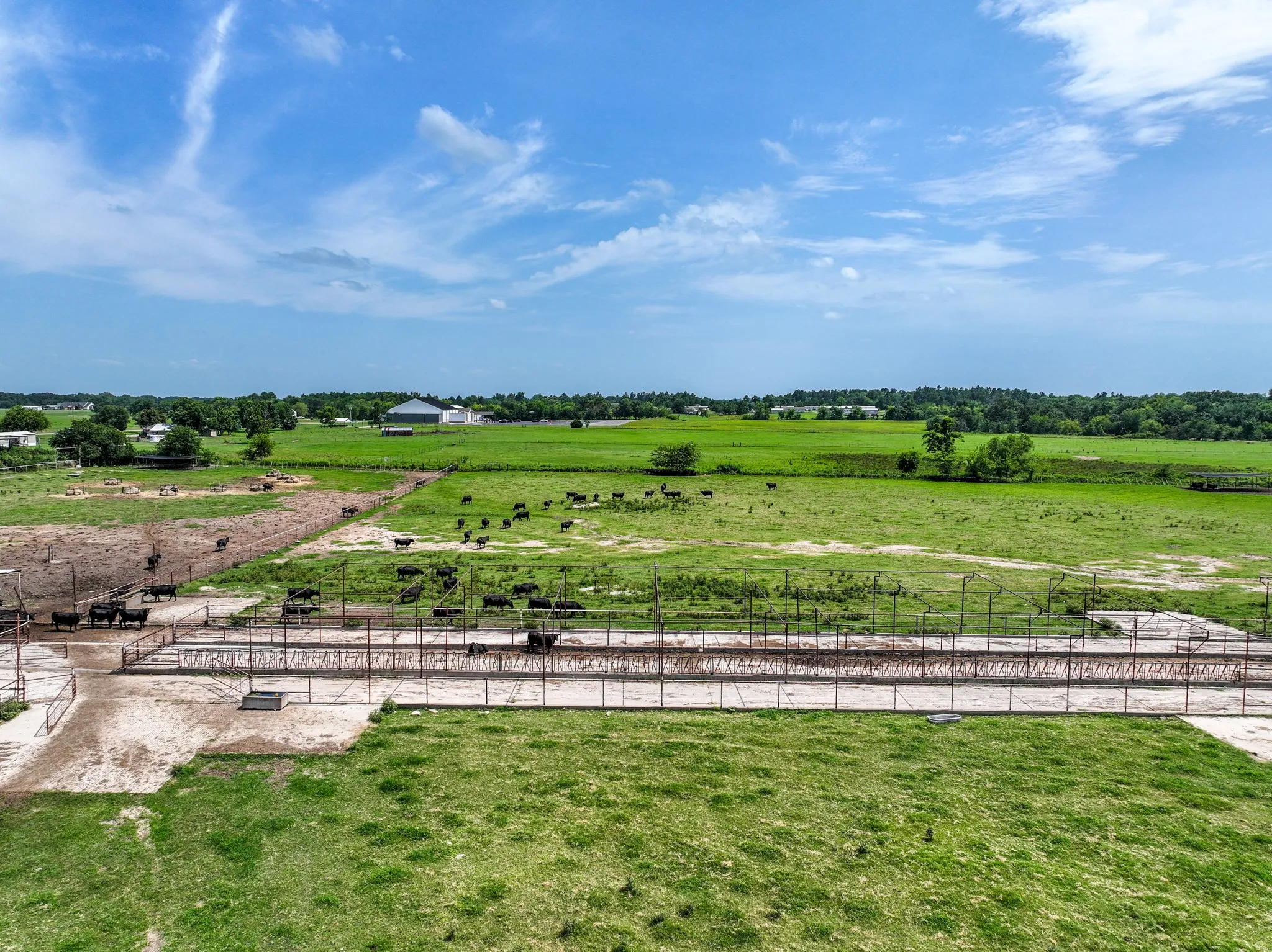 Ranch For Sale in Hopkins County , 270 Farm Road 2560, Sulphur Springs, Texas 75482, 0, 0, Garage spaces, 0 Sqft, built in 1960, Price $879,999, mls#21303467, Real Estate Agent in Sulphur Springs, Homes For Sale in Hopkins county, Homes For Sale in Sulphur Springs, Realtor in Sulphur Springs Texas, Real Estate Brokerage Independent Realty Texas, Luminita Cordes Realtor