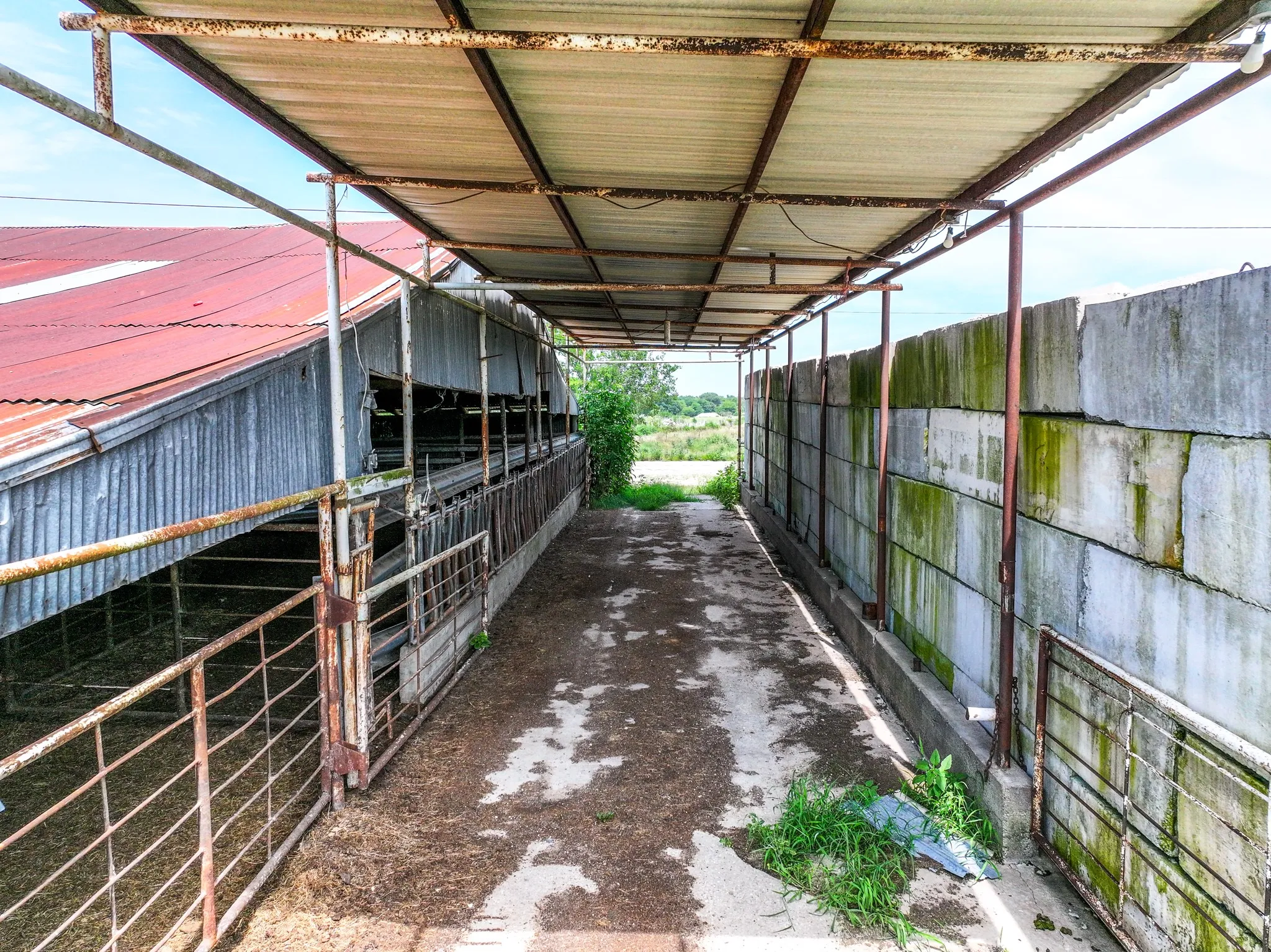 Ranch For Sale in Hopkins County , 270 Farm Road 2560, Sulphur Springs, Texas 75482, 0, 0, Garage spaces, 0 Sqft, built in 1960, Price $879,999, mls#21303467, Real Estate Agent in Sulphur Springs, Homes For Sale in Hopkins county, Homes For Sale in Sulphur Springs, Realtor in Sulphur Springs Texas, Real Estate Brokerage Independent Realty Texas, Luminita Cordes Realtor