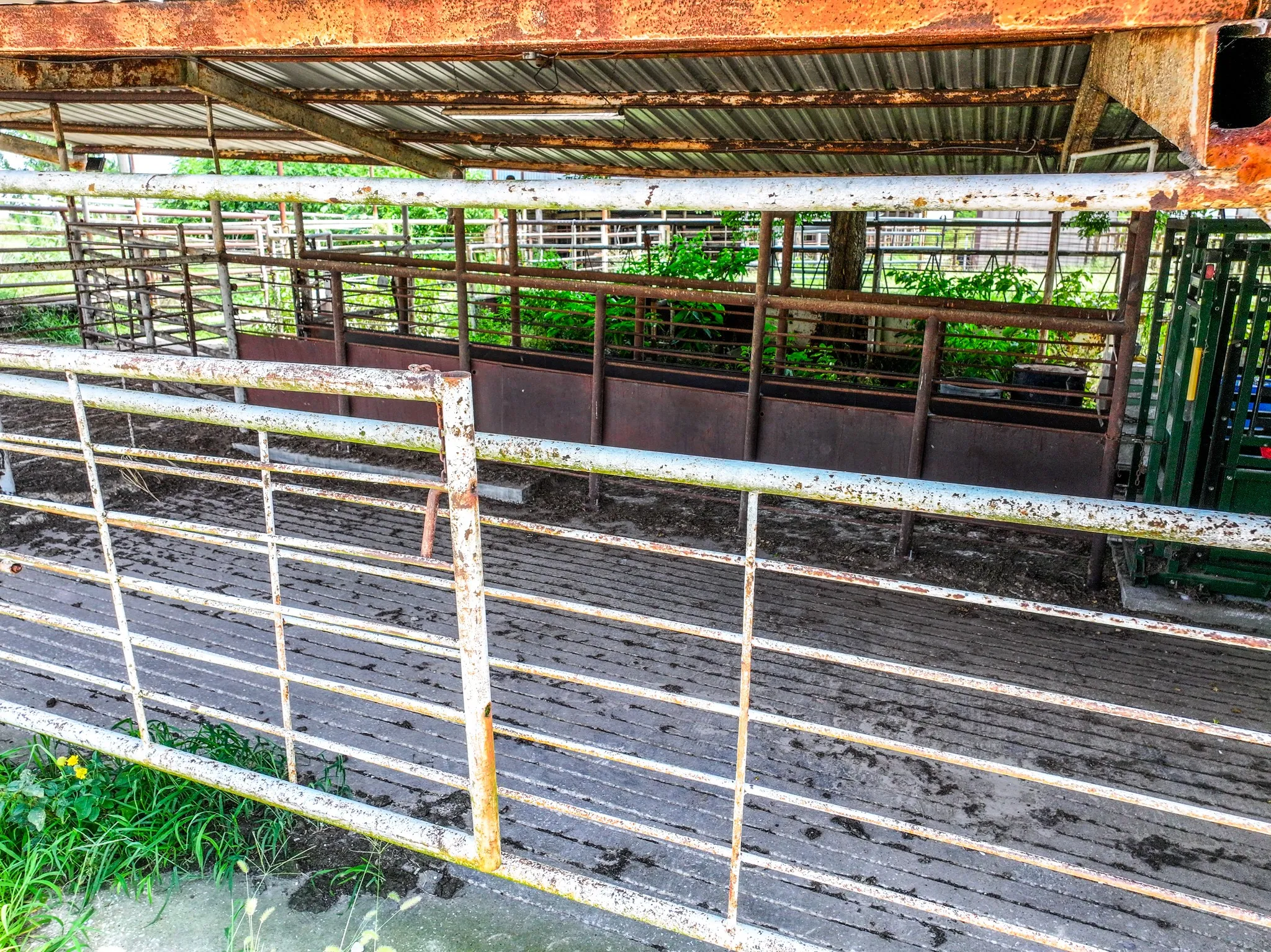 Ranch For Sale in Hopkins County , 270 Farm Road 2560, Sulphur Springs, Texas 75482, 0, 0, Garage spaces, 0 Sqft, built in 1960, Price $879,999, mls#21303467, Real Estate Agent in Sulphur Springs, Homes For Sale in Hopkins county, Homes For Sale in Sulphur Springs, Realtor in Sulphur Springs Texas, Real Estate Brokerage Independent Realty Texas, Luminita Cordes Realtor