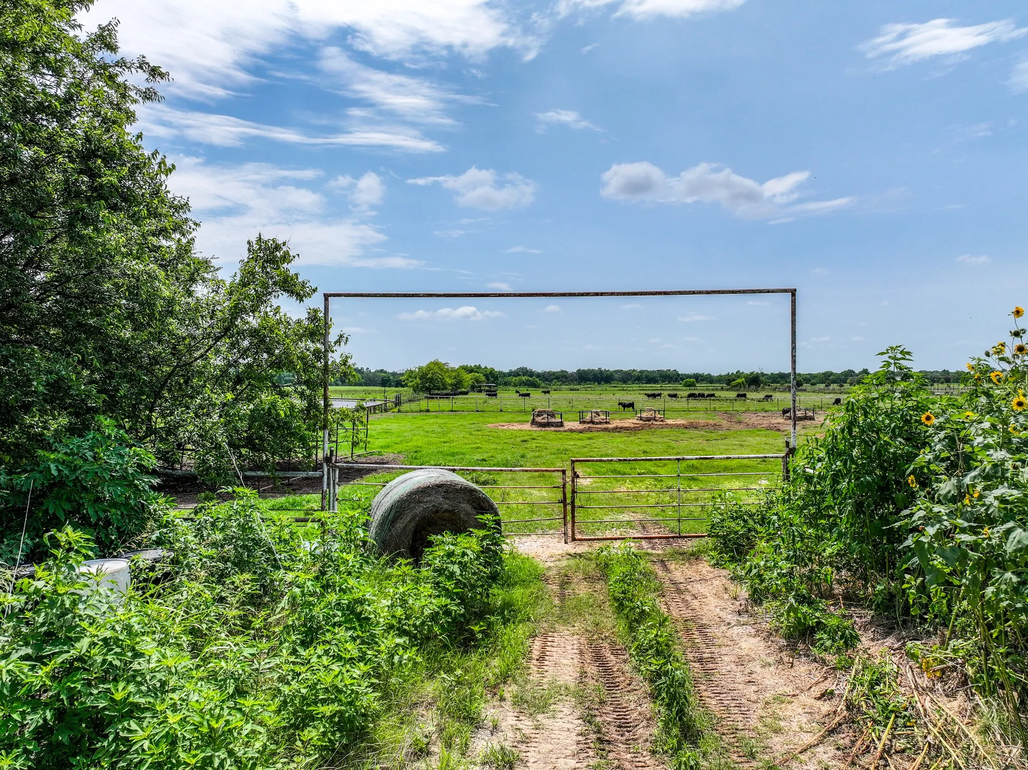 Ranch For Sale in Hopkins County , 270 Farm Road 2560, Sulphur Springs, Texas 75482, 0, 0, Garage spaces, 0 Sqft, built in 1960, Price $879,999, mls#21303467, Real Estate Agent in Sulphur Springs, Homes For Sale in Hopkins county, Homes For Sale in Sulphur Springs, Realtor in Sulphur Springs Texas, Real Estate Brokerage Independent Realty Texas, Luminita Cordes Realtor