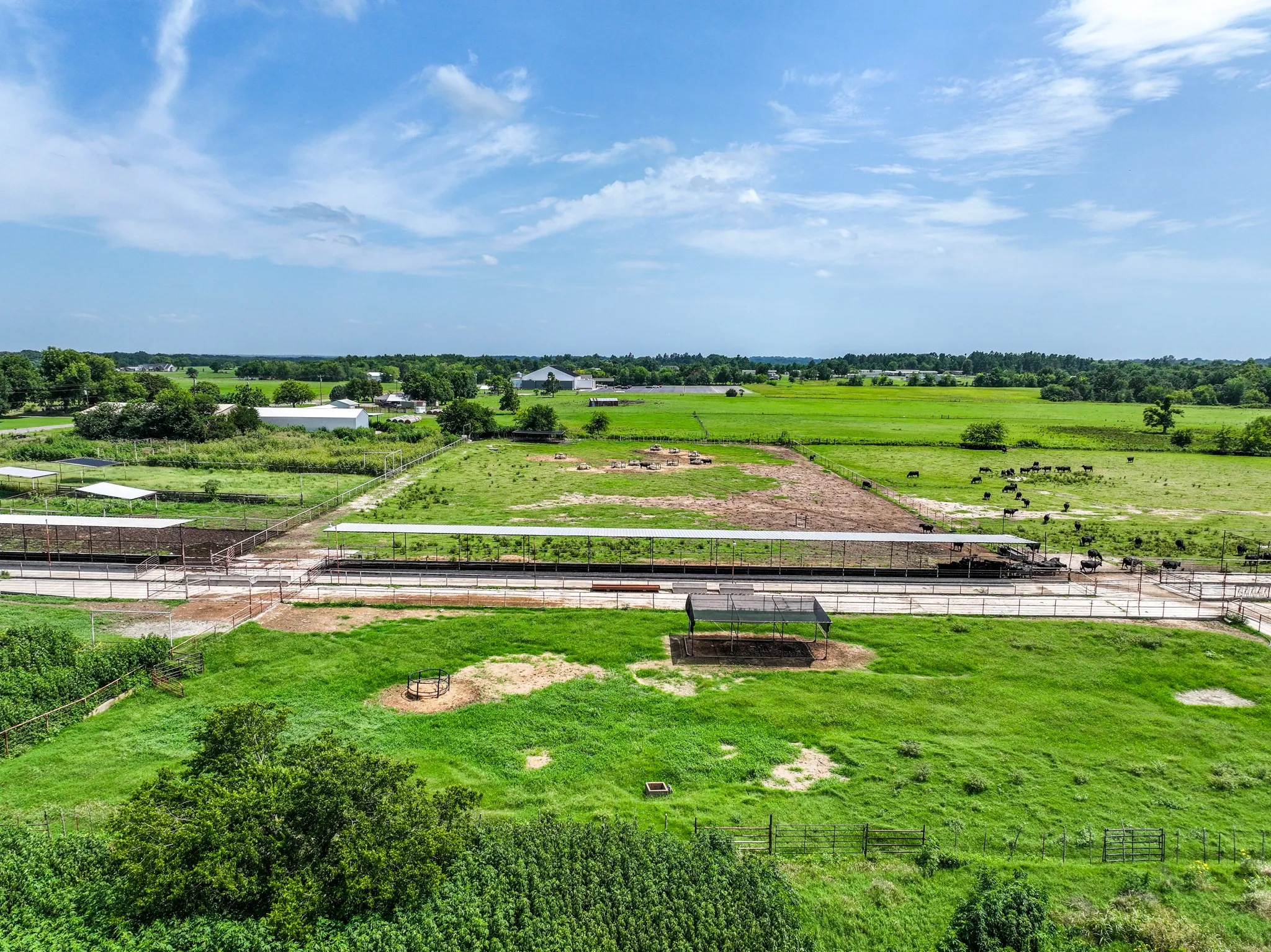 Ranch For Sale in Hopkins County , 270 Farm Road 2560, Sulphur Springs, Texas 75482, 0, 0, Garage spaces, 0 Sqft, built in 1960, Price $879,999, mls#21303467, Real Estate Agent in Sulphur Springs, Homes For Sale in Hopkins county, Homes For Sale in Sulphur Springs, Realtor in Sulphur Springs Texas, Real Estate Brokerage Independent Realty Texas, Luminita Cordes Realtor
