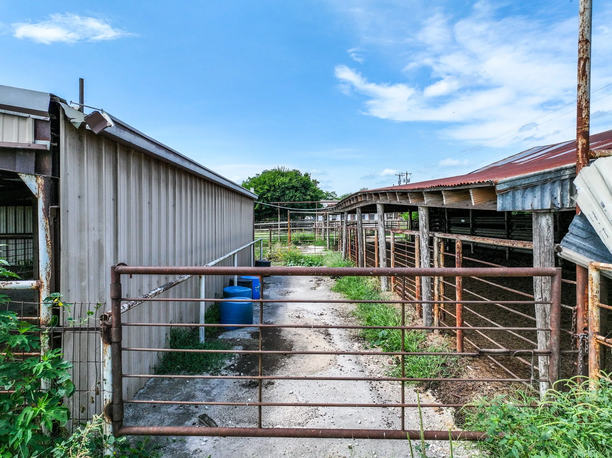 Ranch For Sale in Hopkins County , 270 Farm Road 2560, Sulphur Springs, Texas 75482, 0, 0, Garage spaces, 0 Sqft, built in 1960, Price $879,999, mls#21303467, Real Estate Agent in Sulphur Springs, Homes For Sale in Hopkins county, Homes For Sale in Sulphur Springs, Realtor in Sulphur Springs Texas, Real Estate Brokerage Independent Realty Texas, Luminita Cordes Realtor