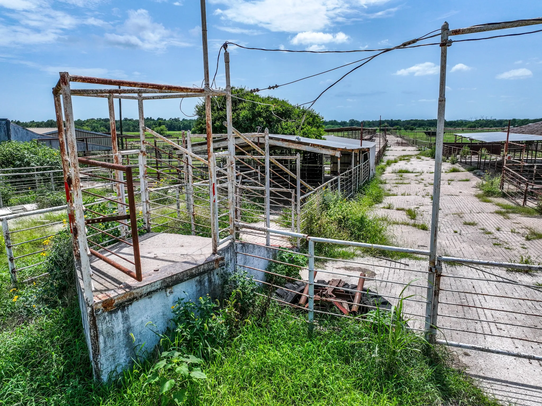 Ranch For Sale in Hopkins County , 270 Farm Road 2560, Sulphur Springs, Texas 75482, 0, 0, Garage spaces, 0 Sqft, built in 1960, Price $879,999, mls#21303467, Real Estate Agent in Sulphur Springs, Homes For Sale in Hopkins county, Homes For Sale in Sulphur Springs, Realtor in Sulphur Springs Texas, Real Estate Brokerage Independent Realty Texas, Luminita Cordes Realtor